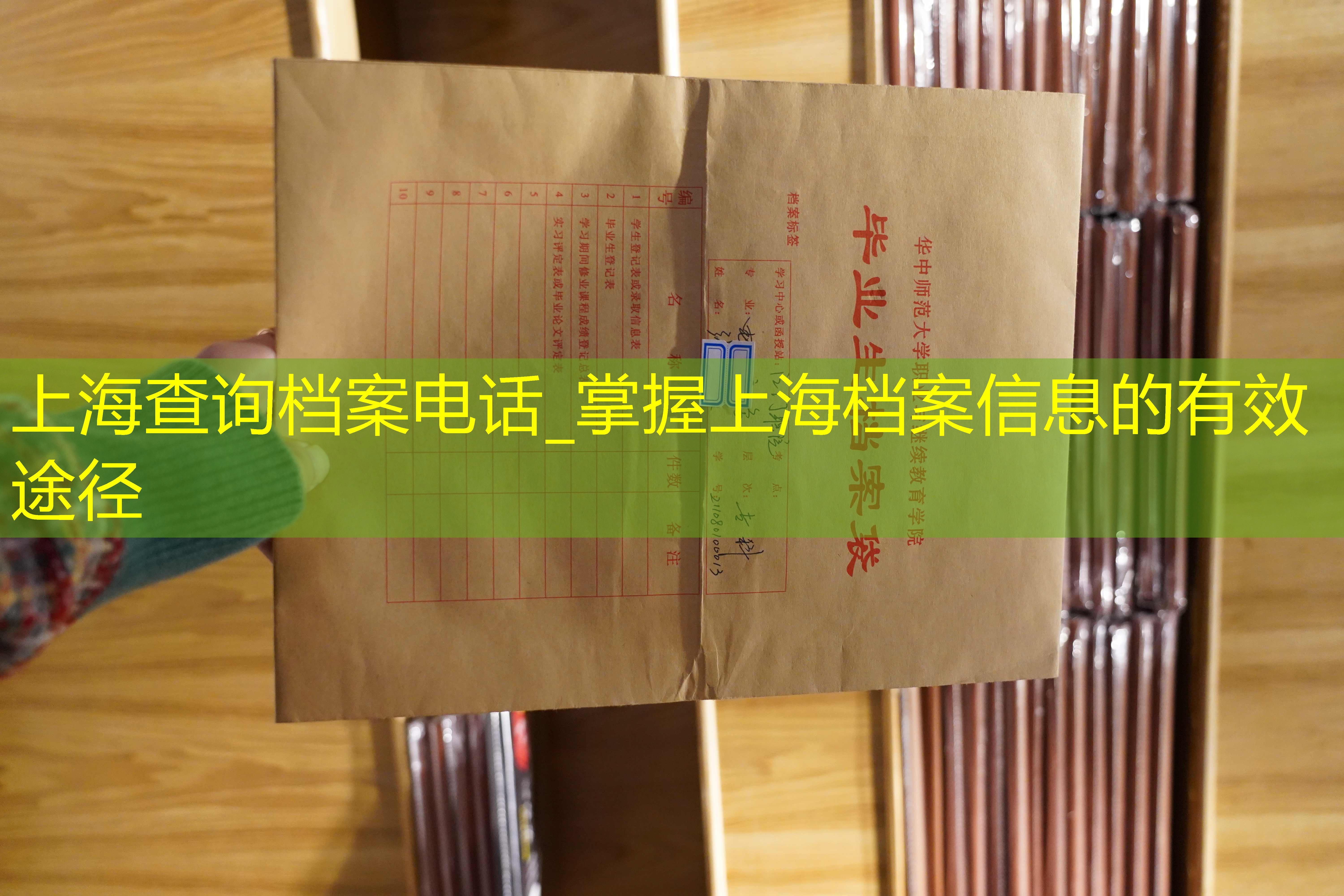档案查询