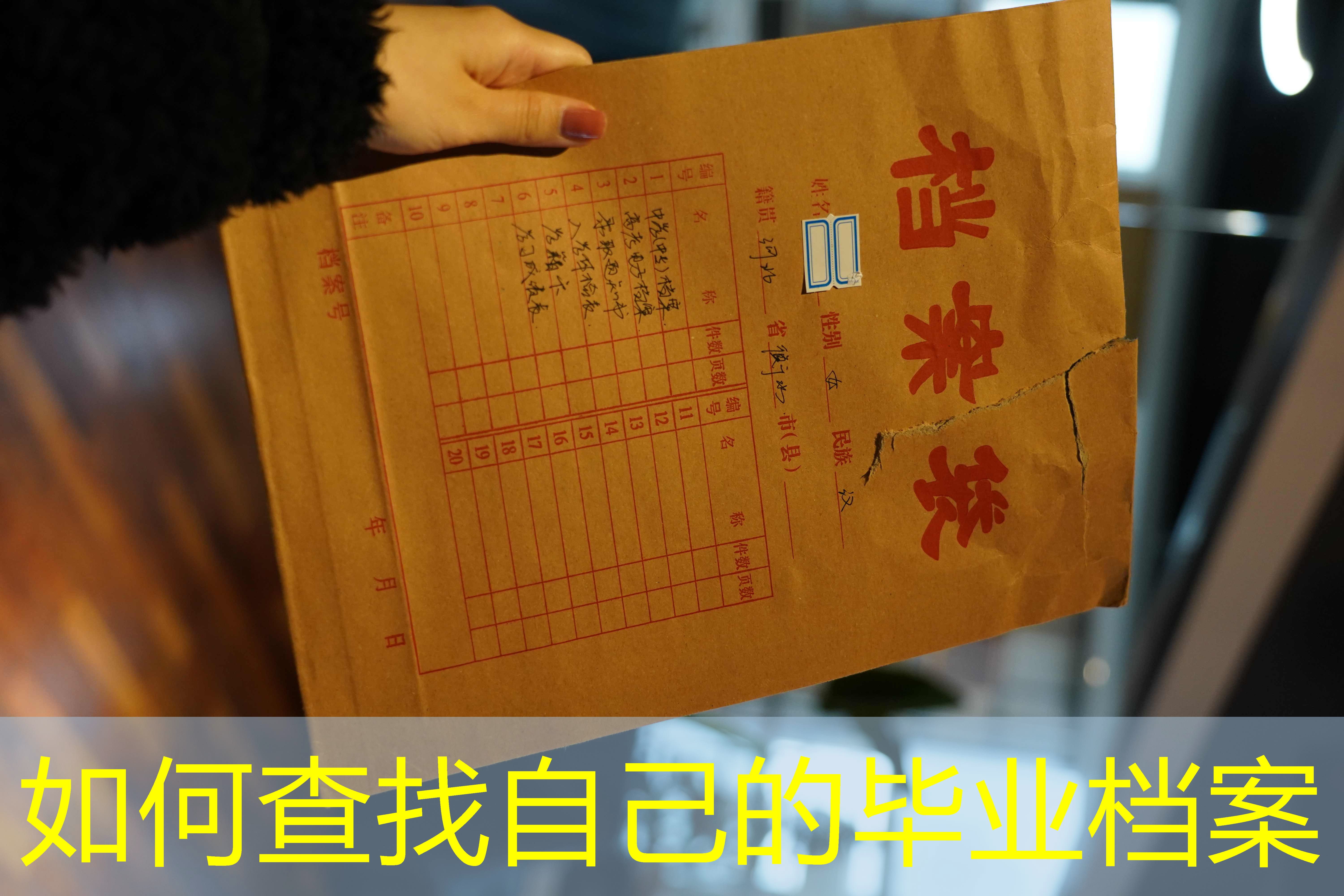 档案查询