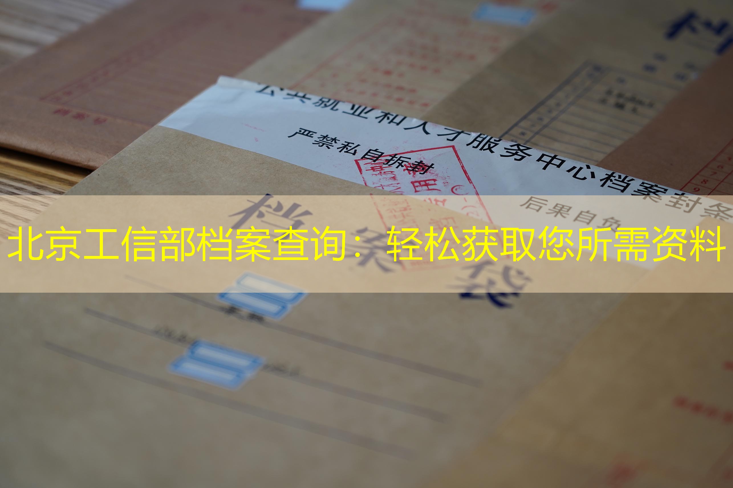 档案查询