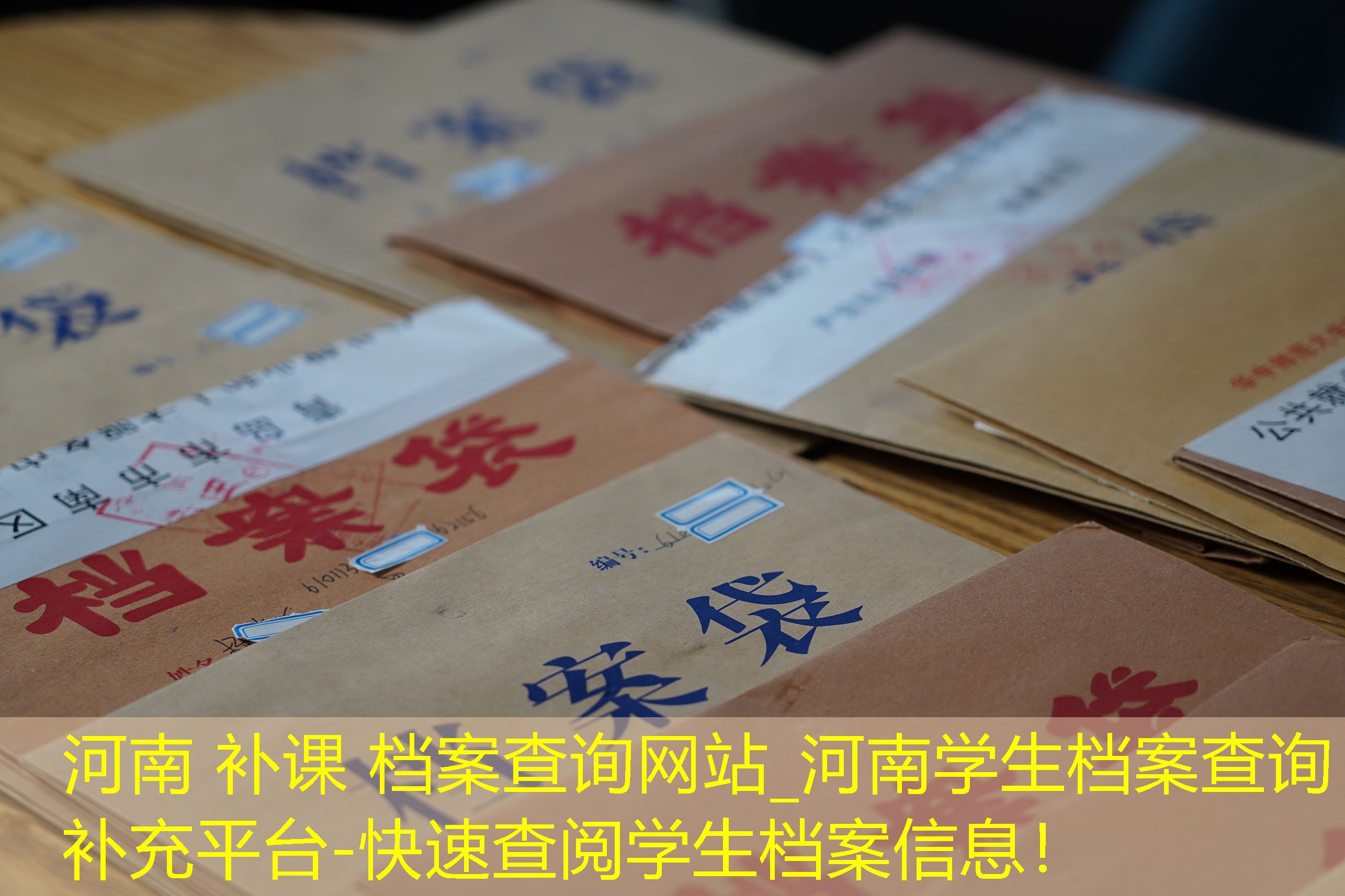 档案查询