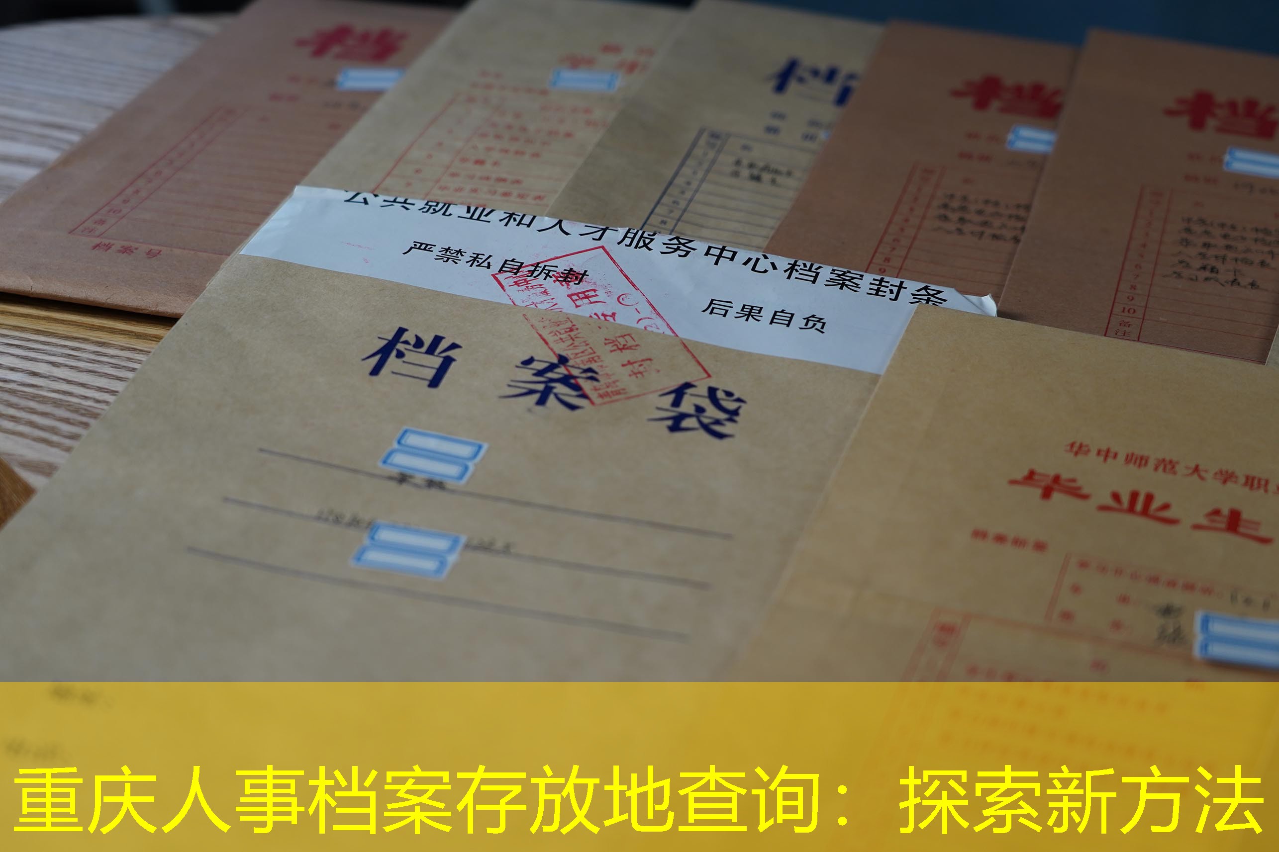 档案查询