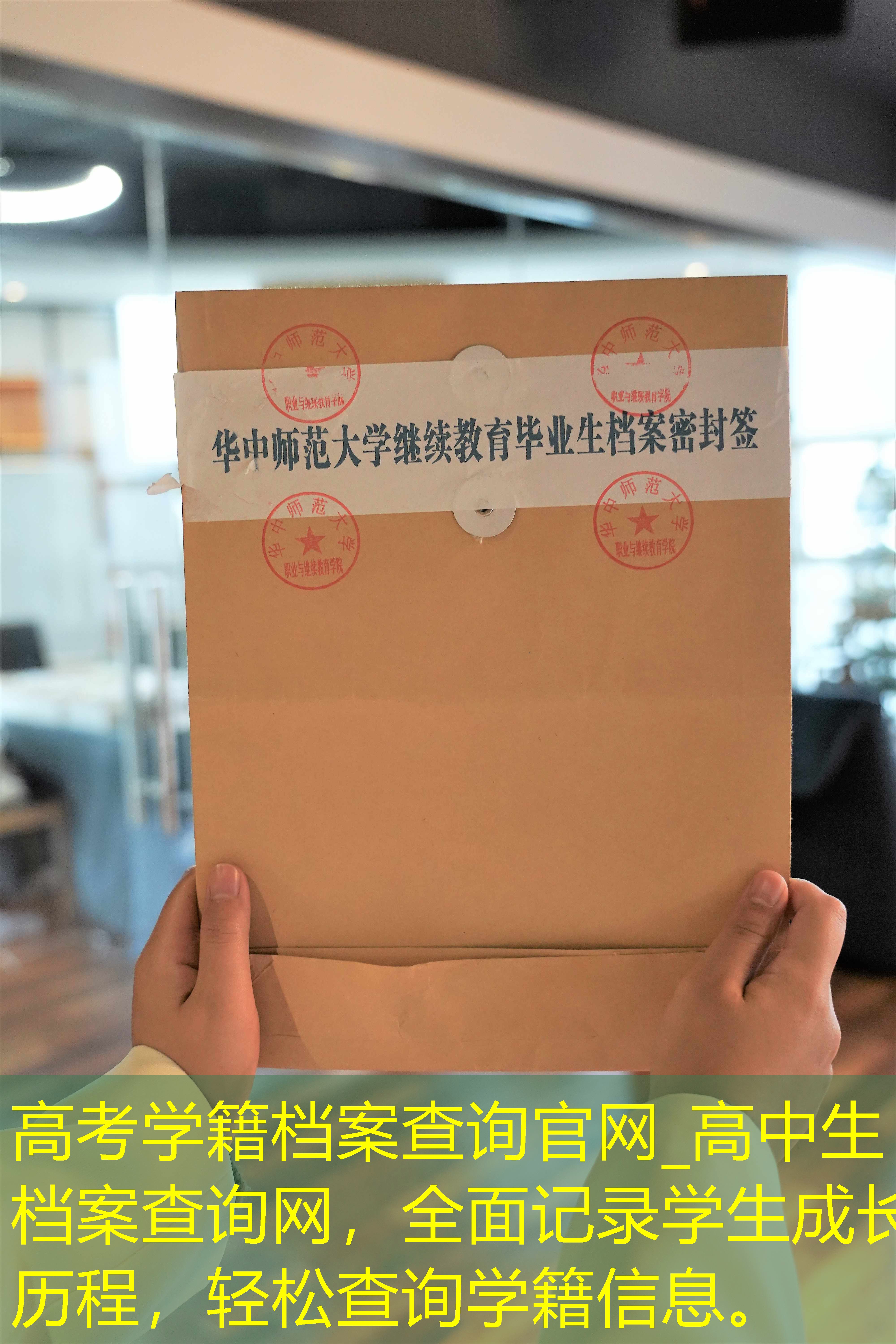 档案查询