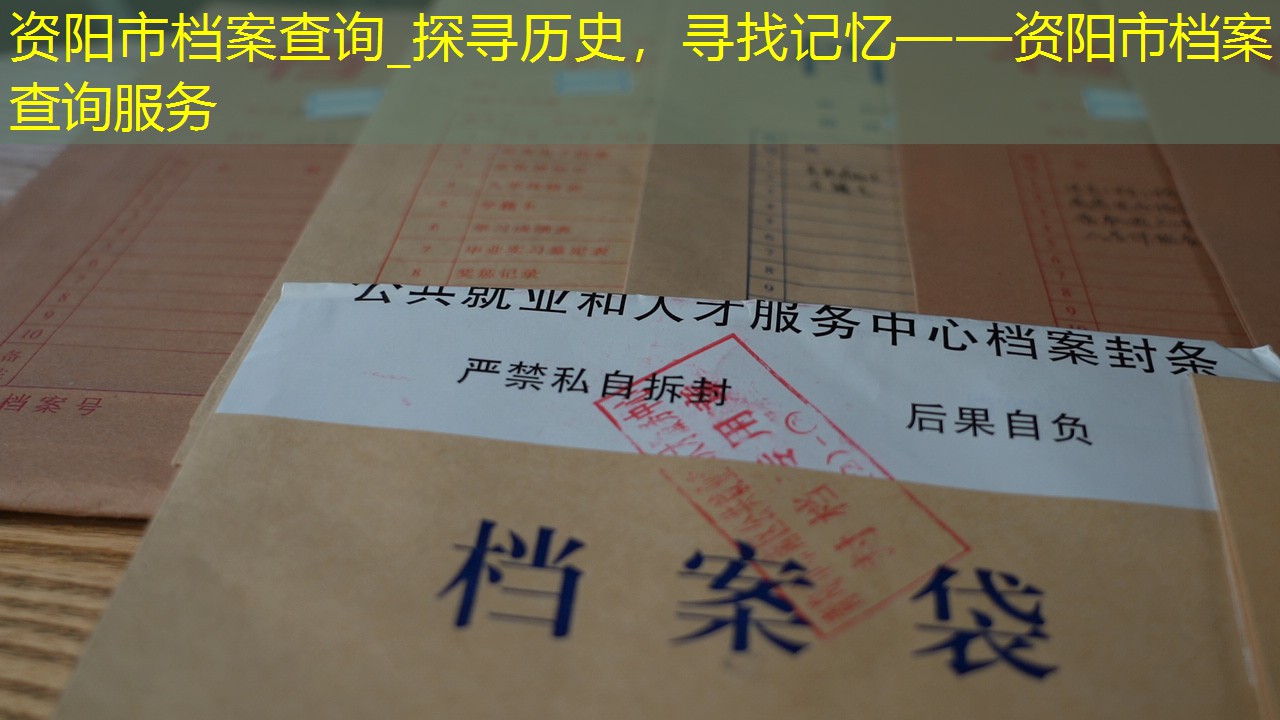 档案查询
