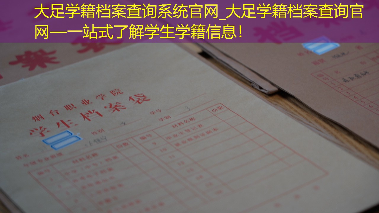 档案查询