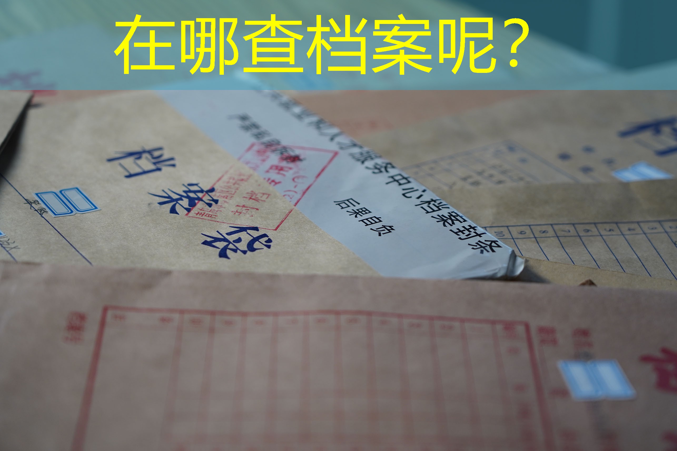 档案查询