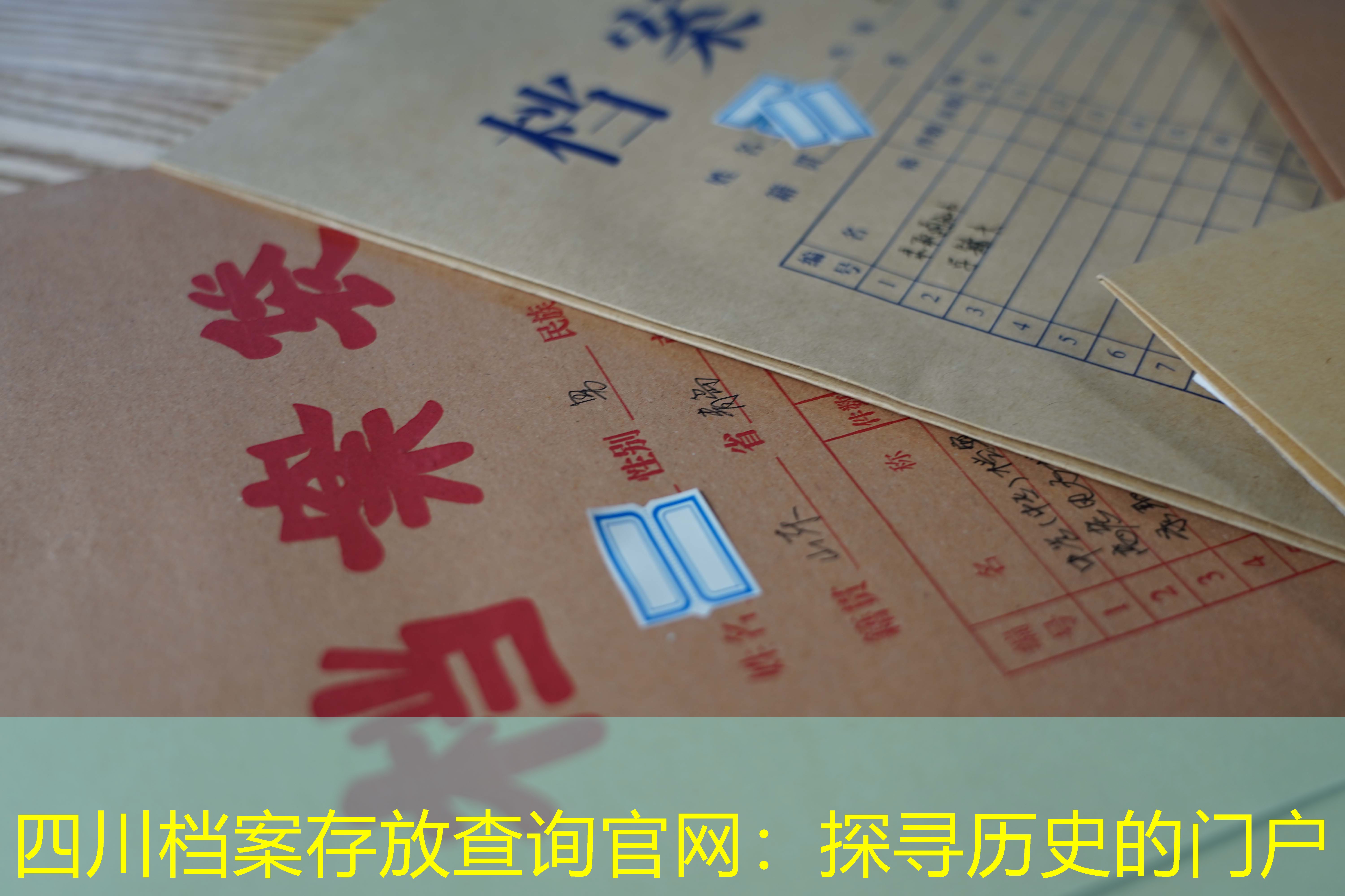 档案查询