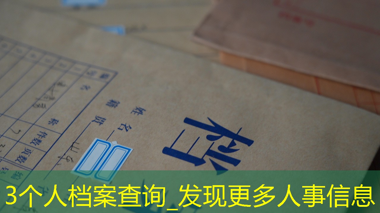 档案查询