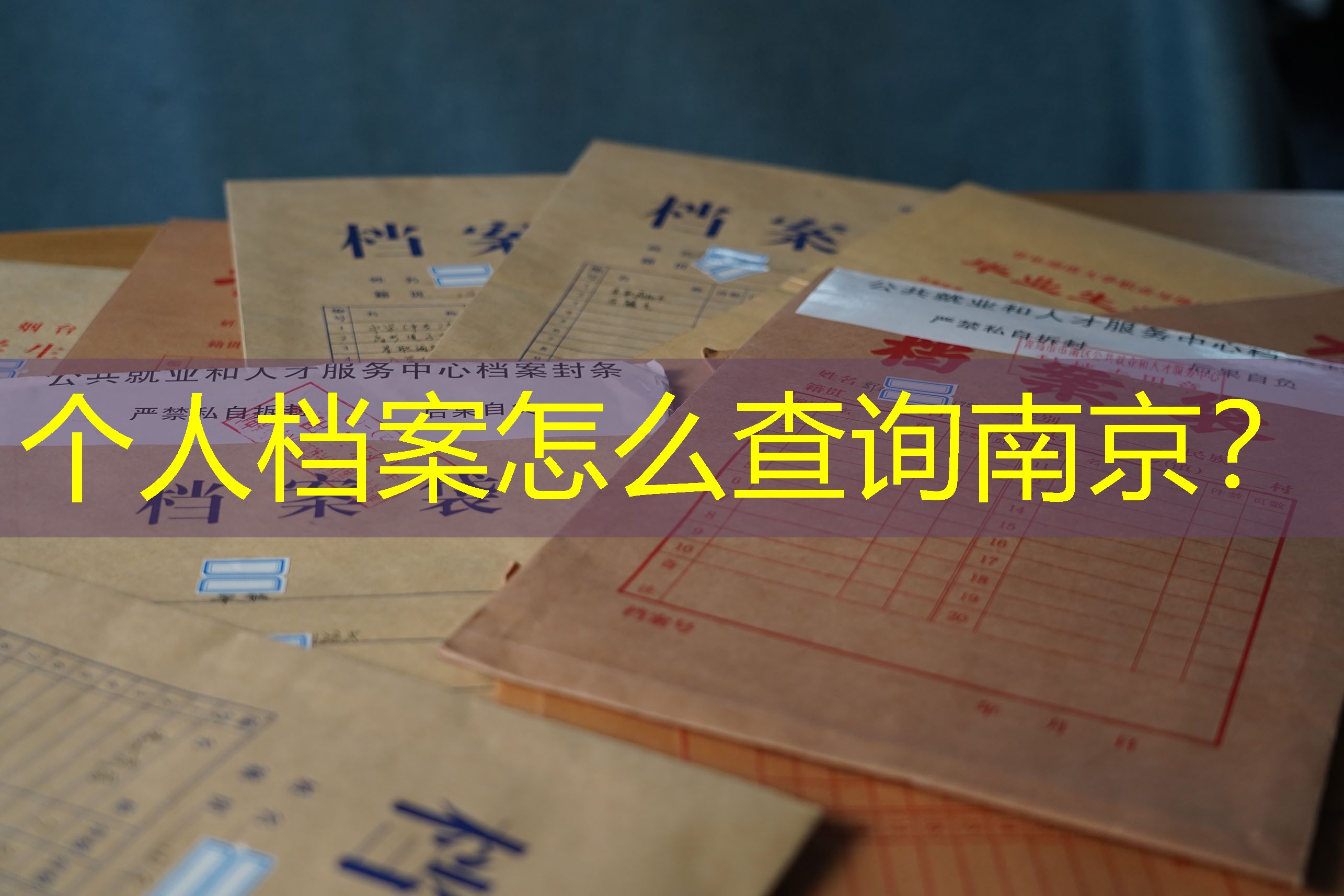 档案查询