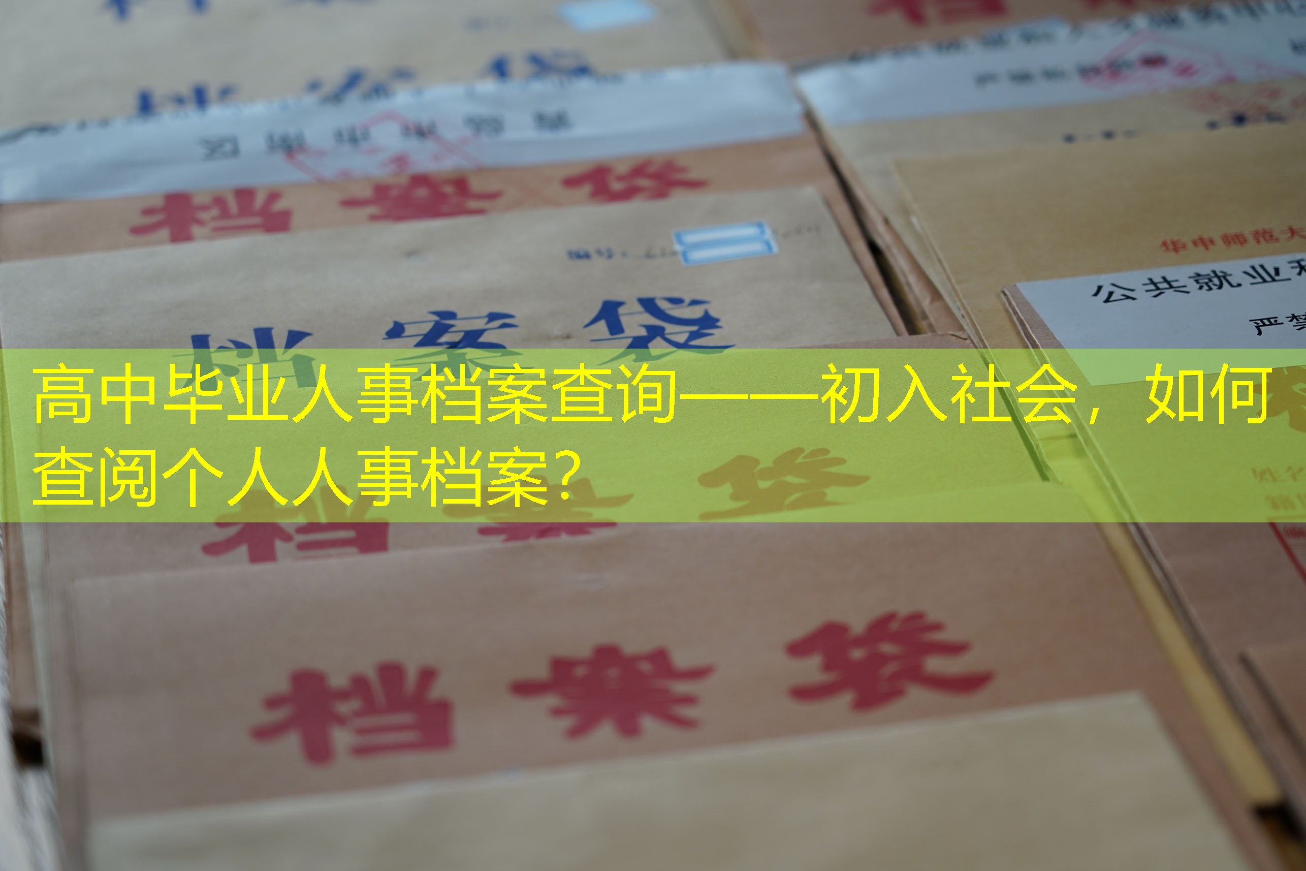 档案查询