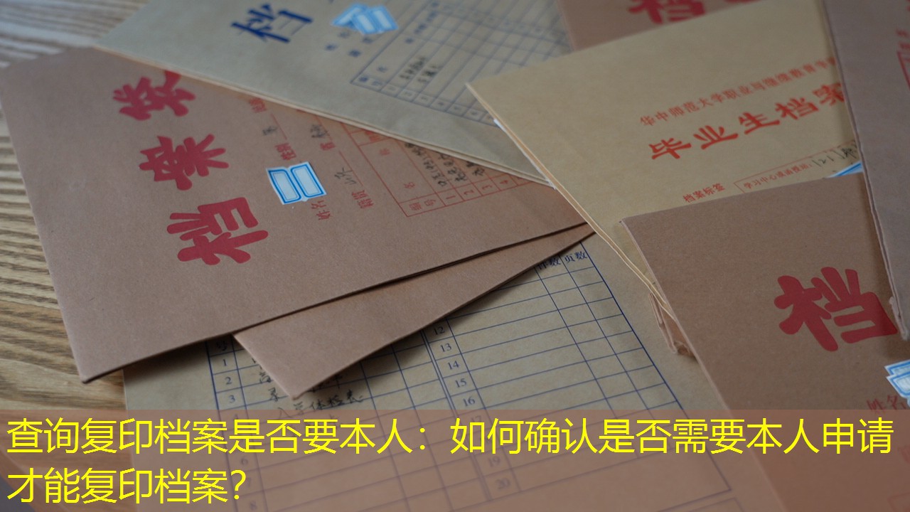 档案查询