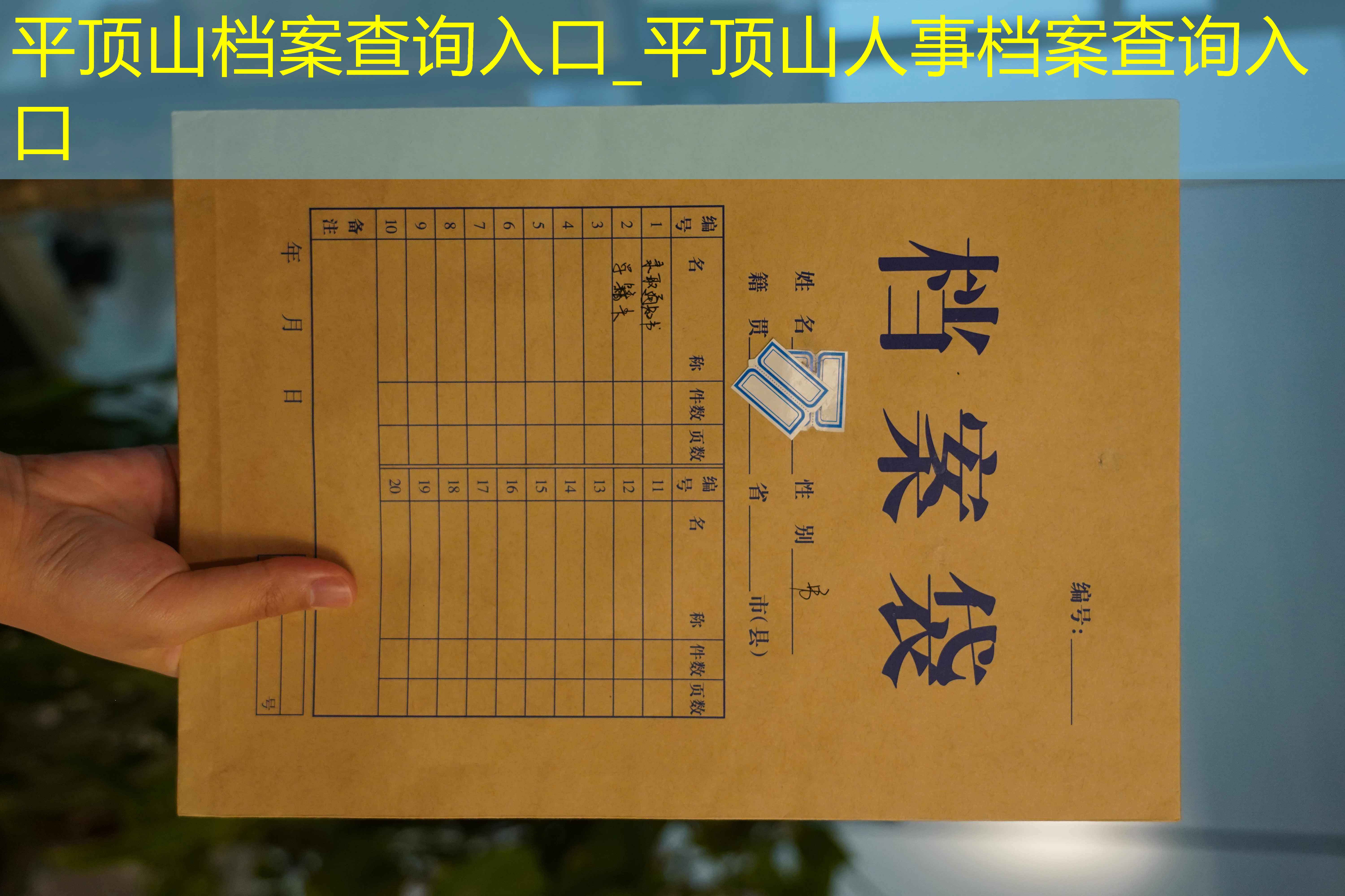 档案查询