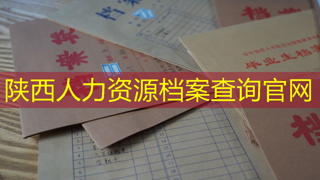 档案查询