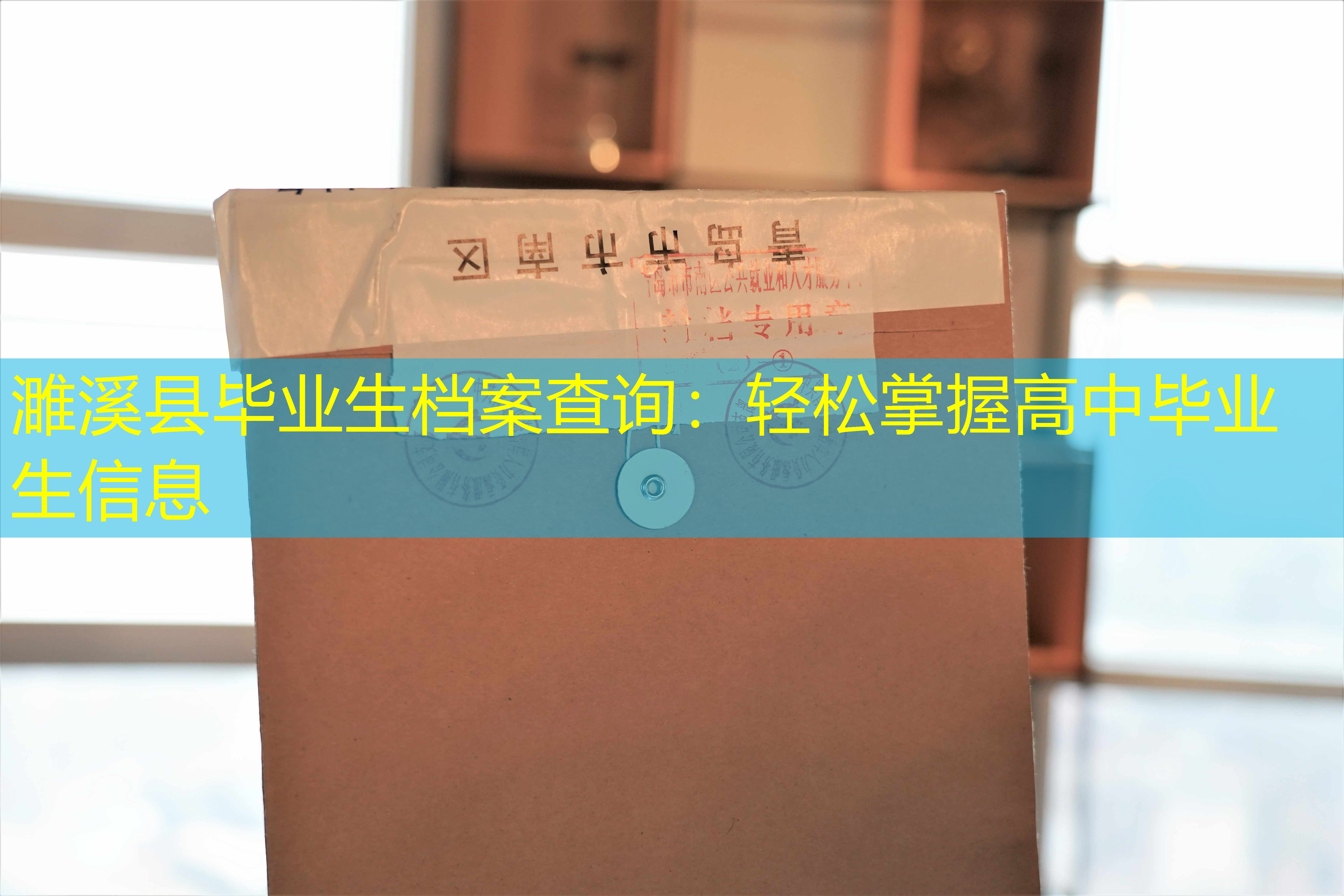 档案查询