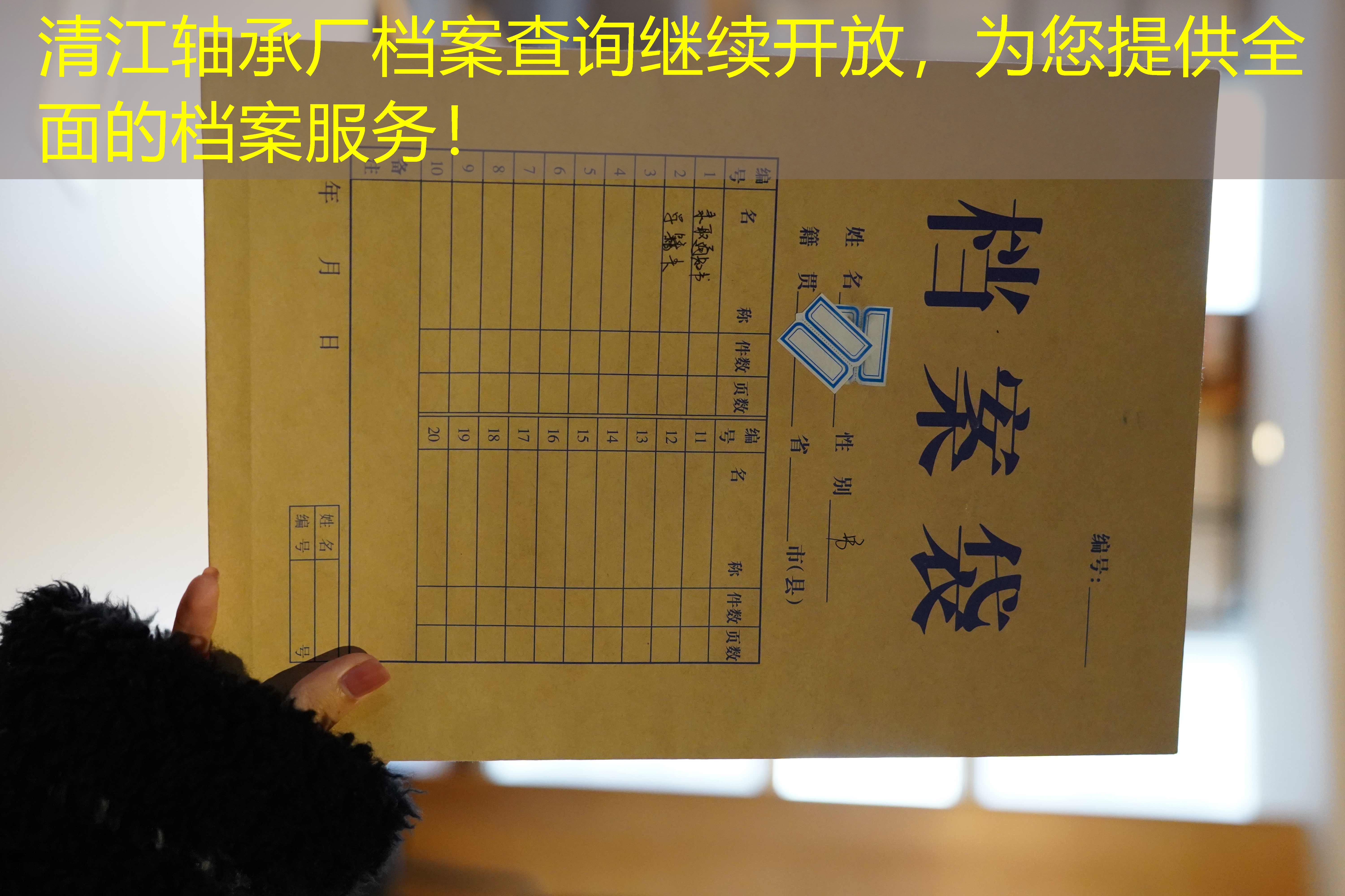 档案查询
