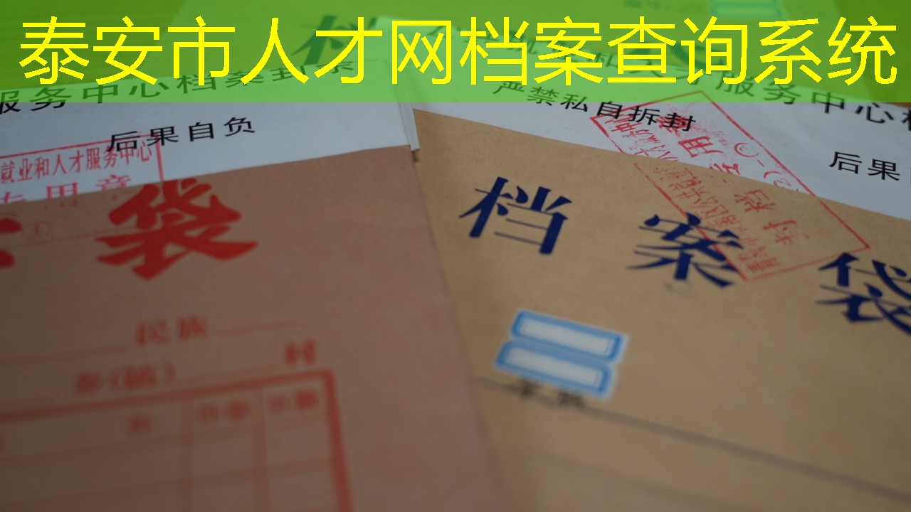 档案查询