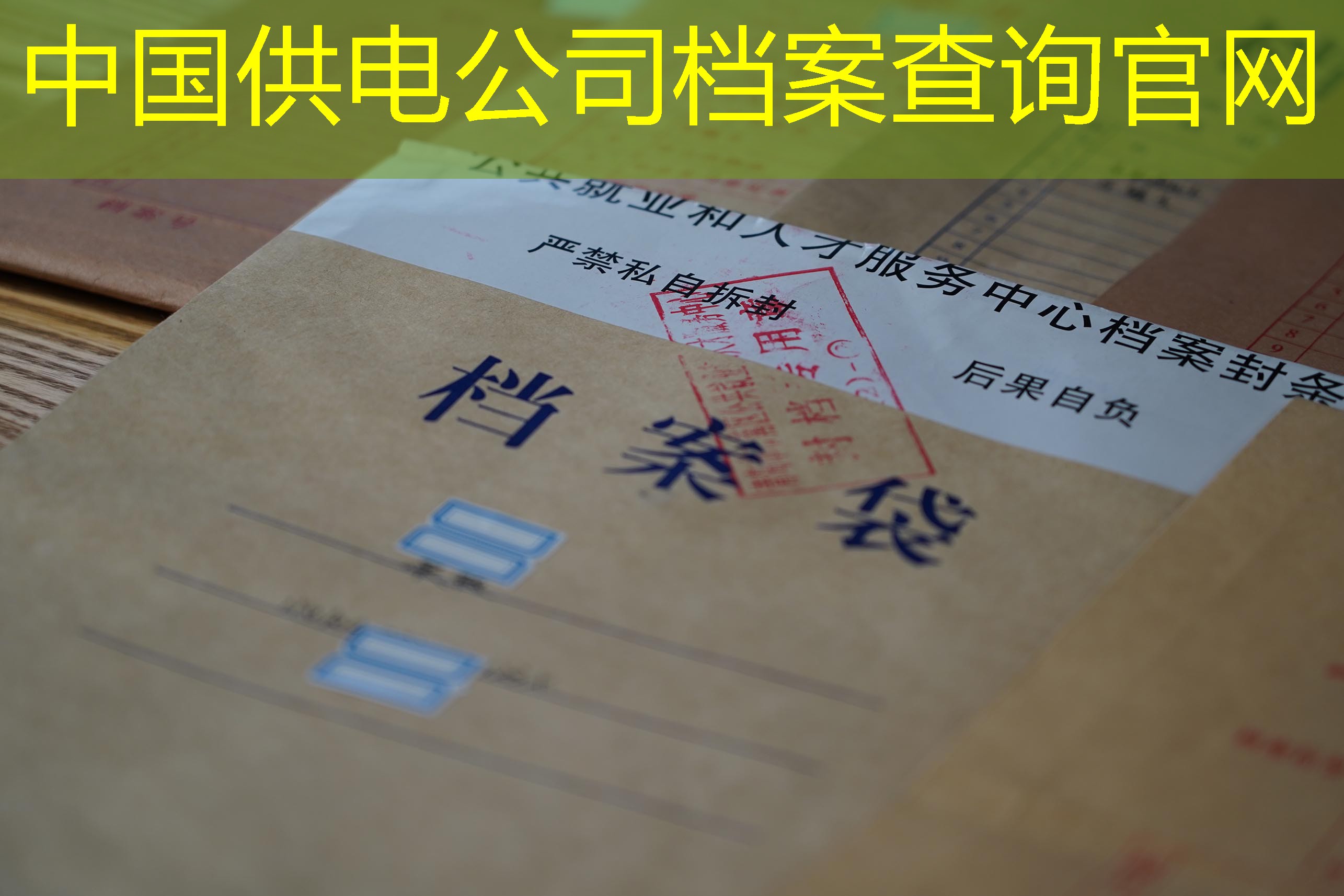档案查询