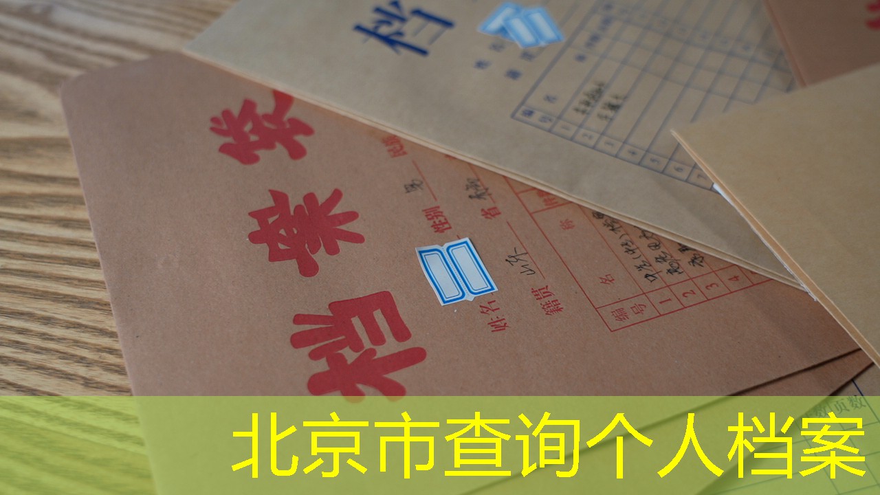 档案查询