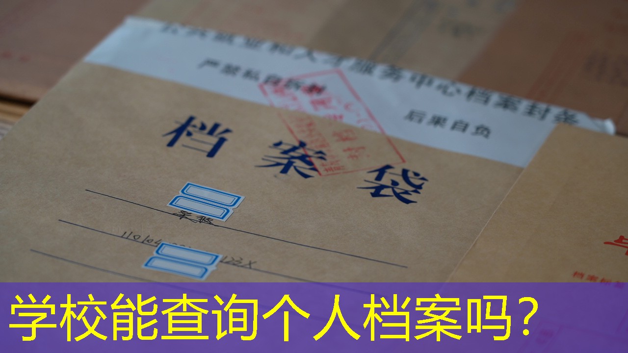 档案查询