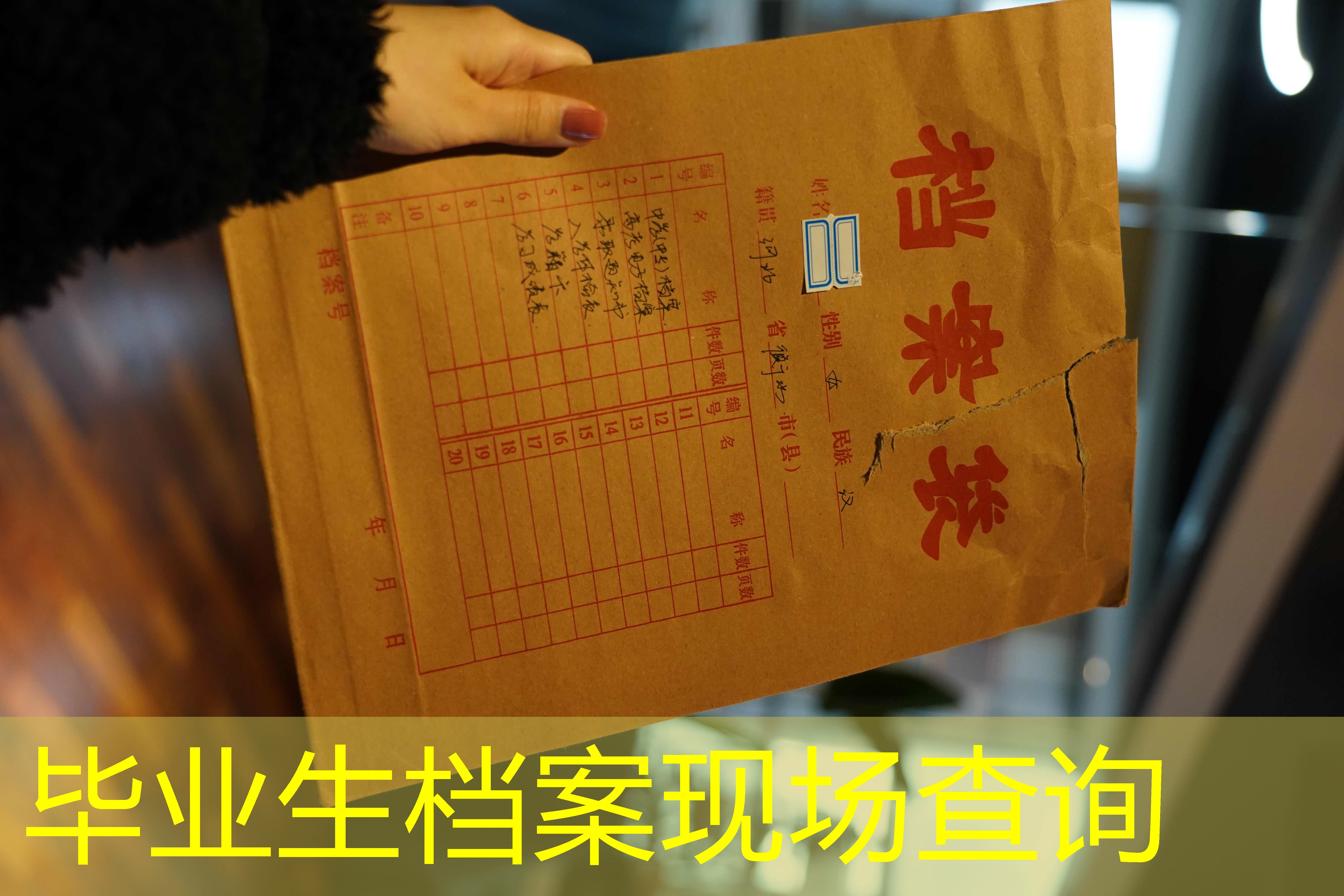 档案查询