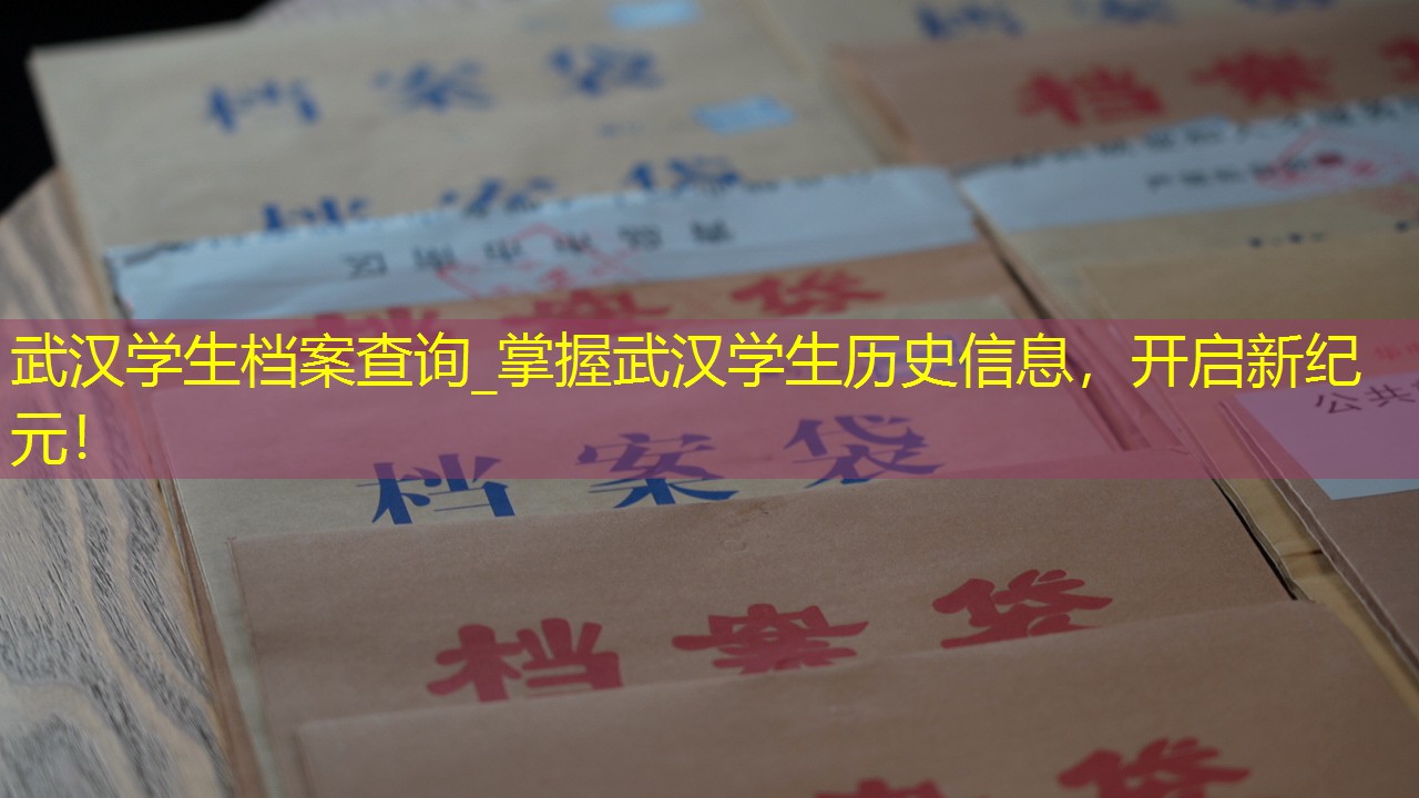 档案查询