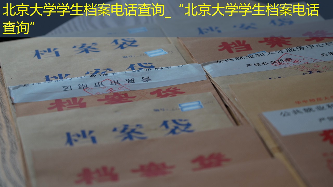 档案查询