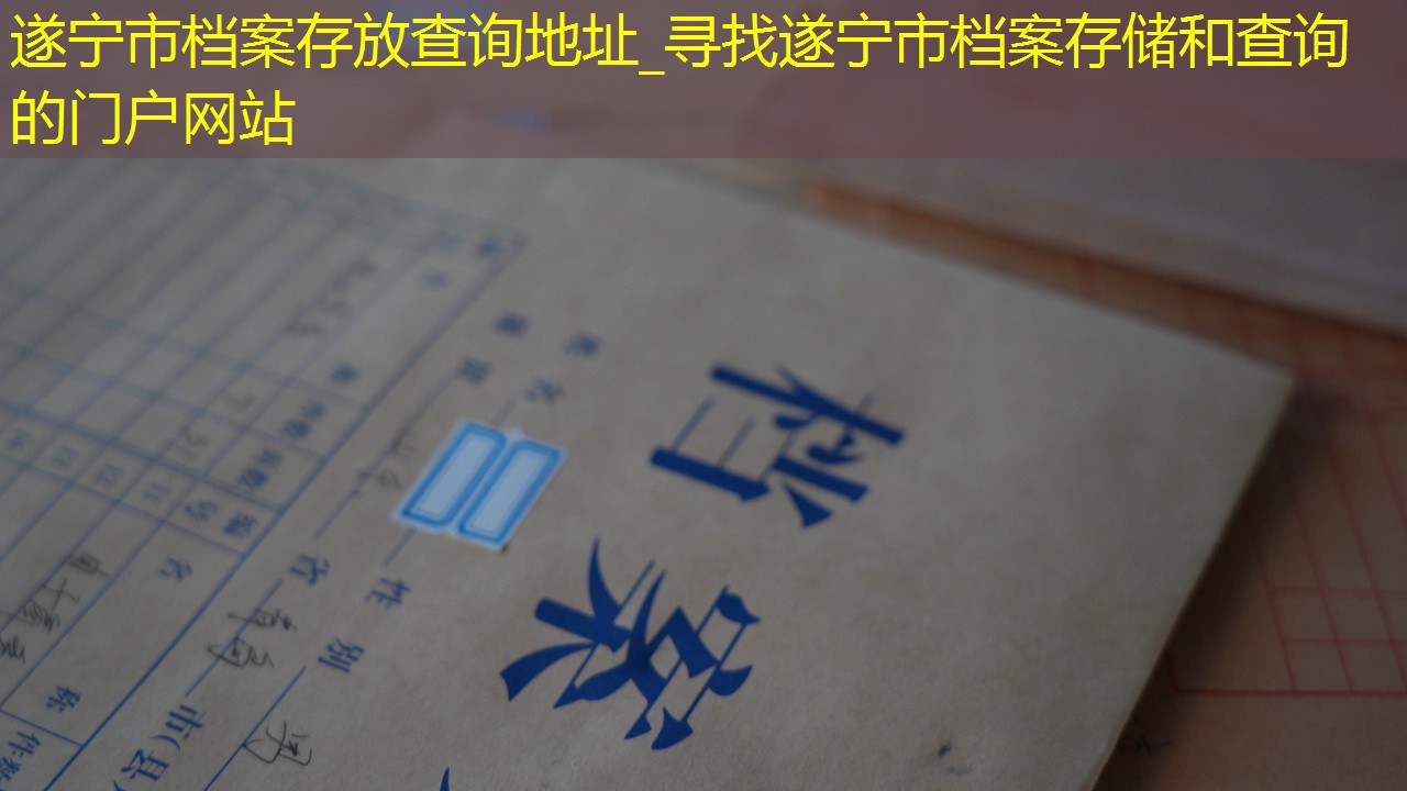 档案查询