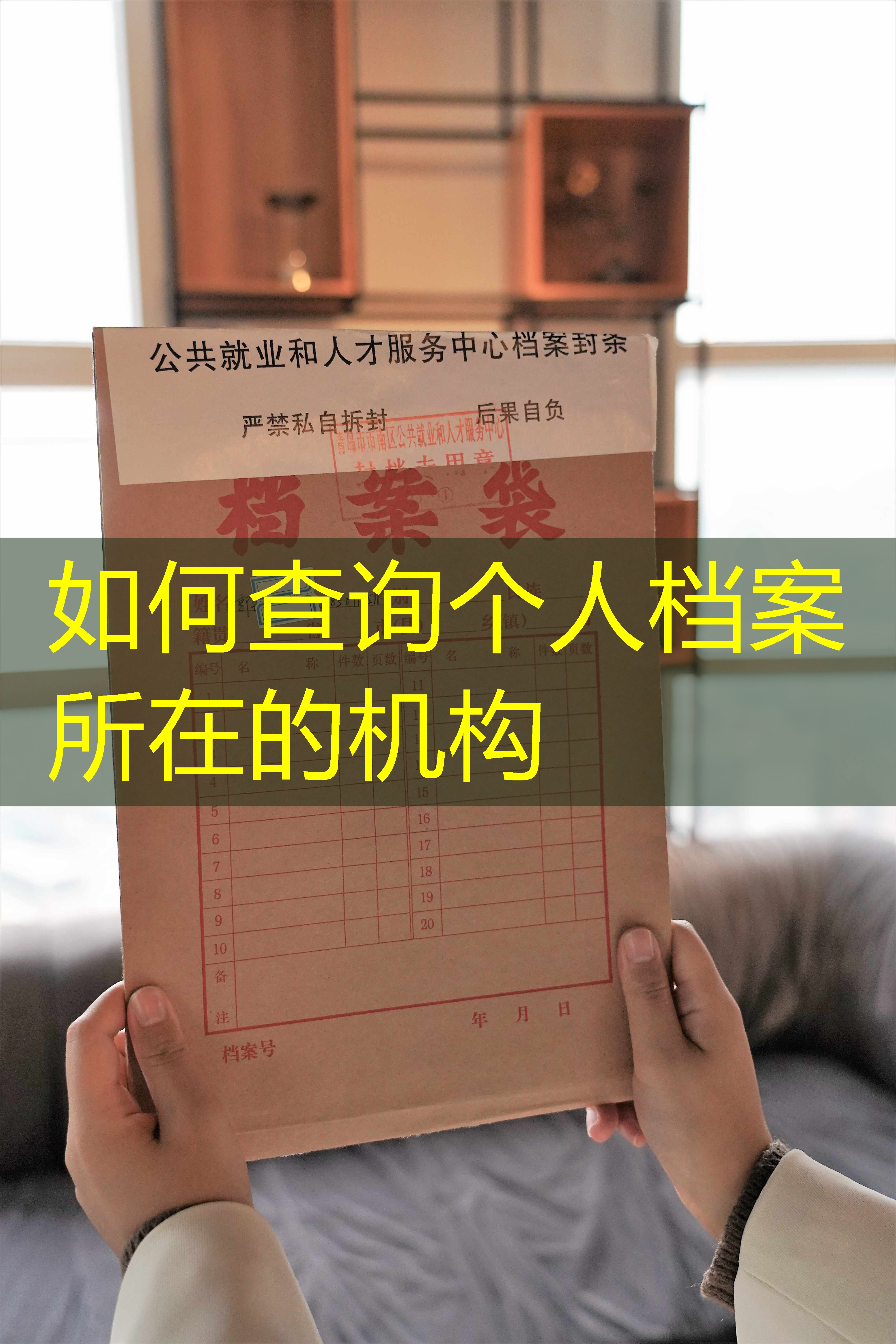 档案查询