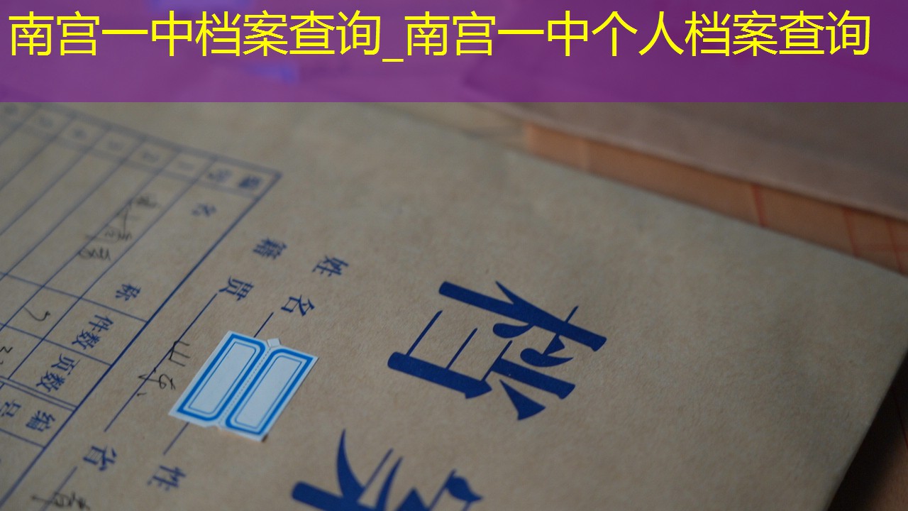 档案查询