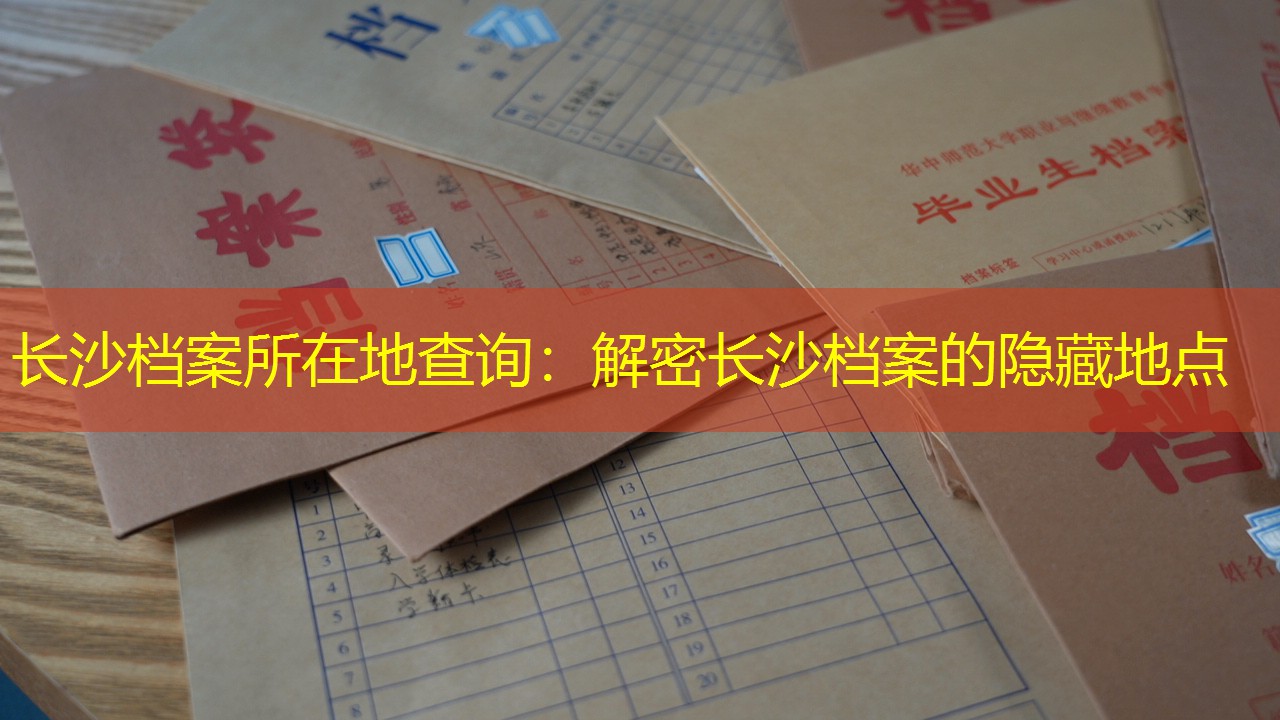 档案查询