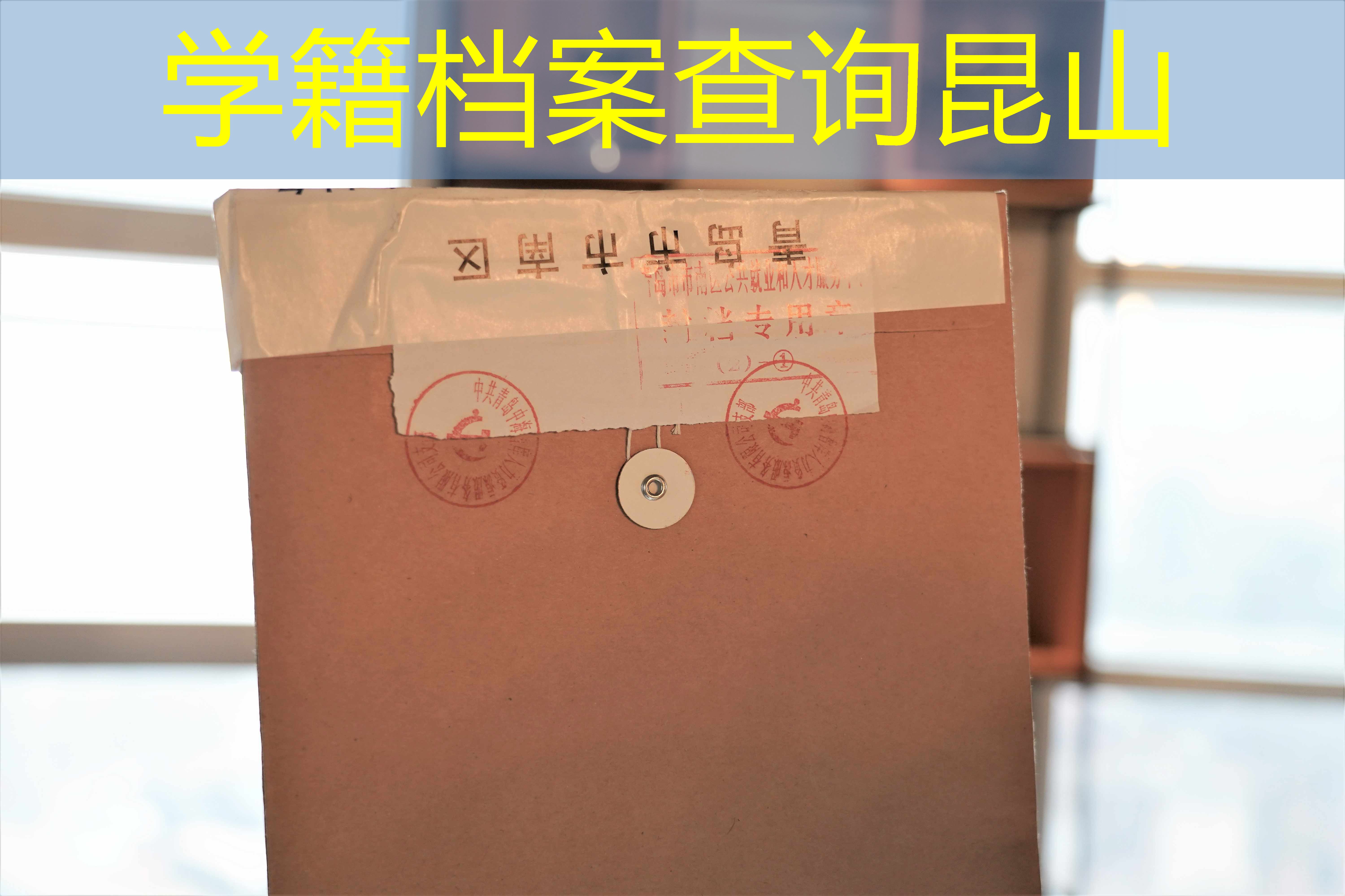 档案查询