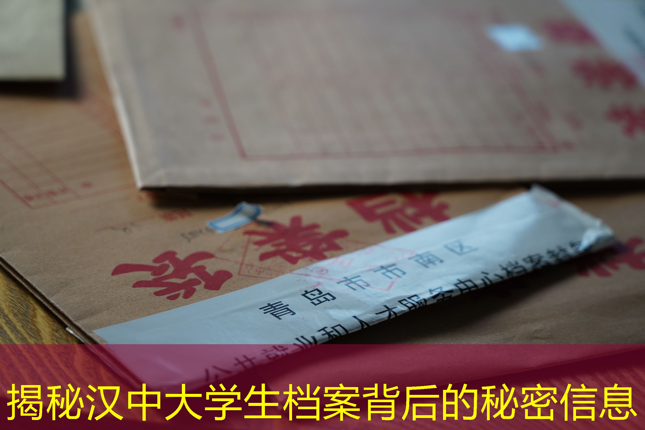 档案查询