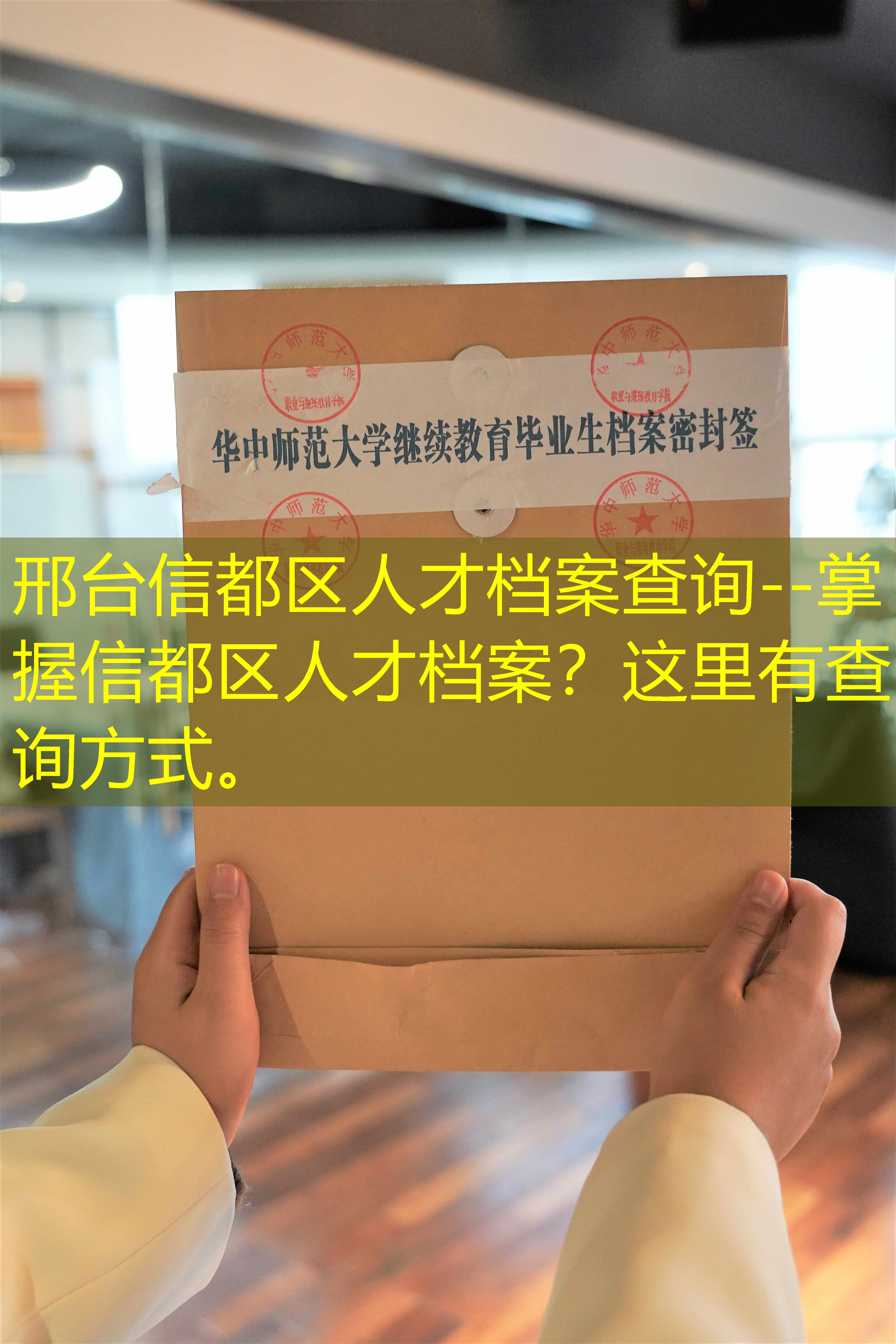 档案查询