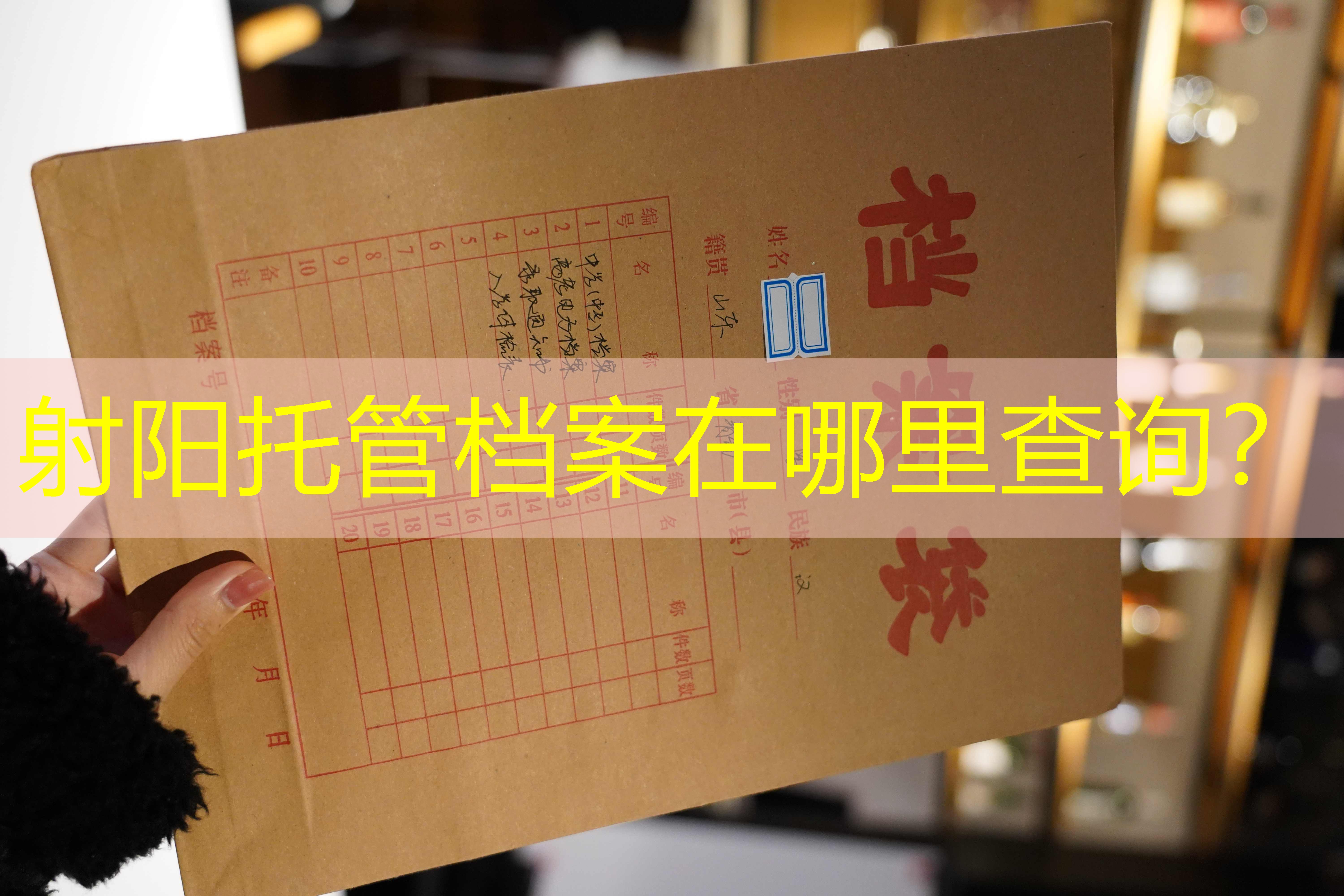 档案查询