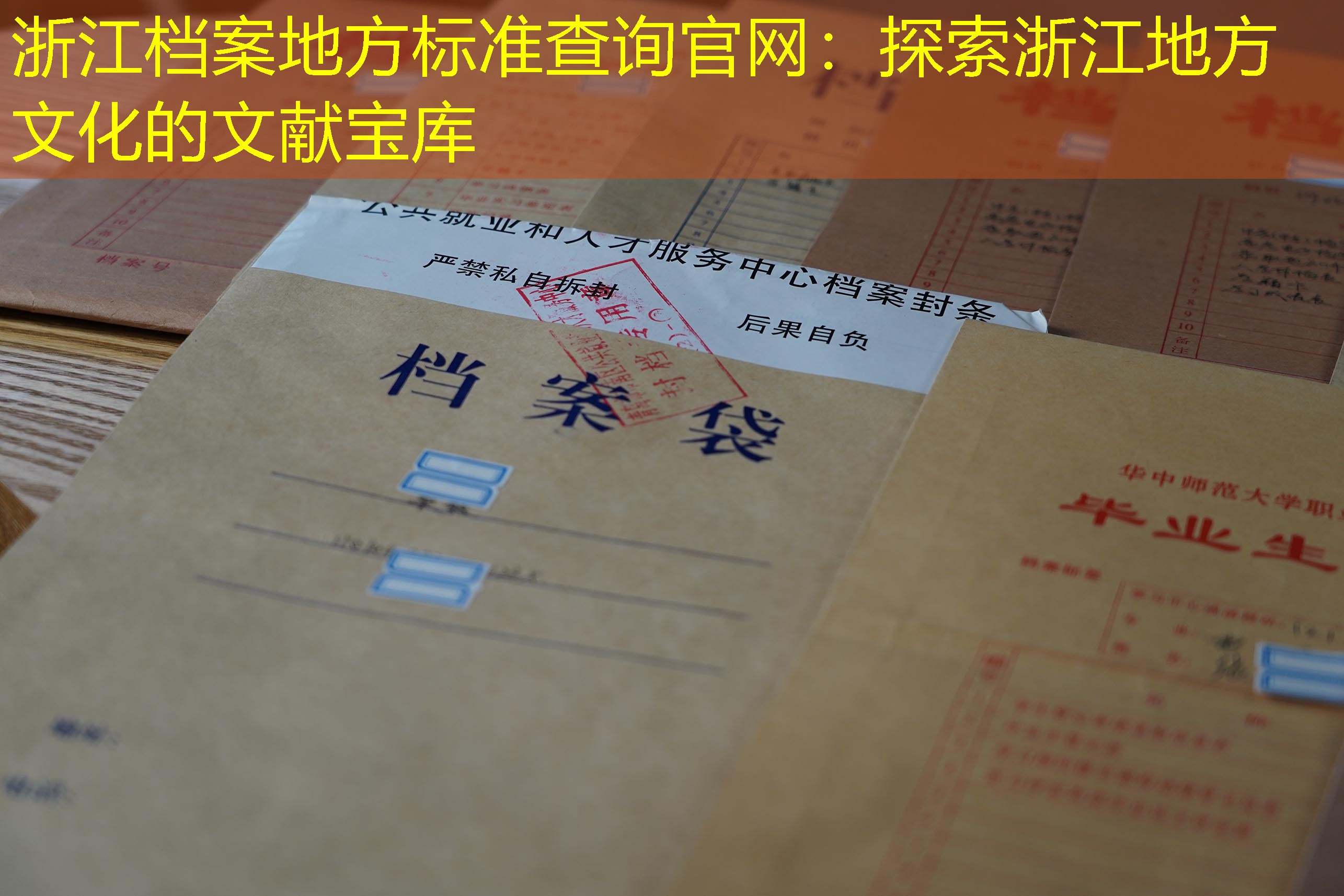 档案查询