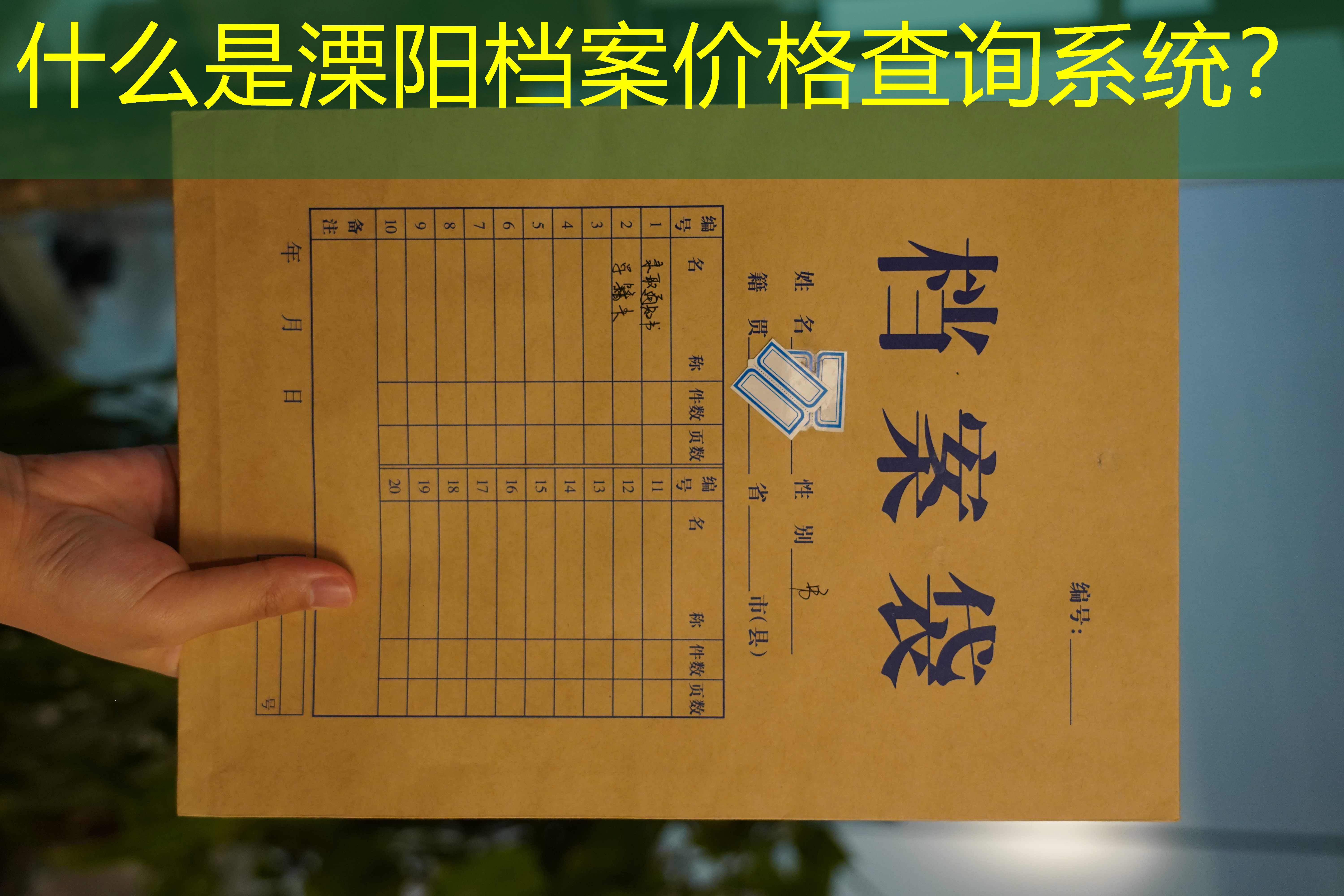 档案查询