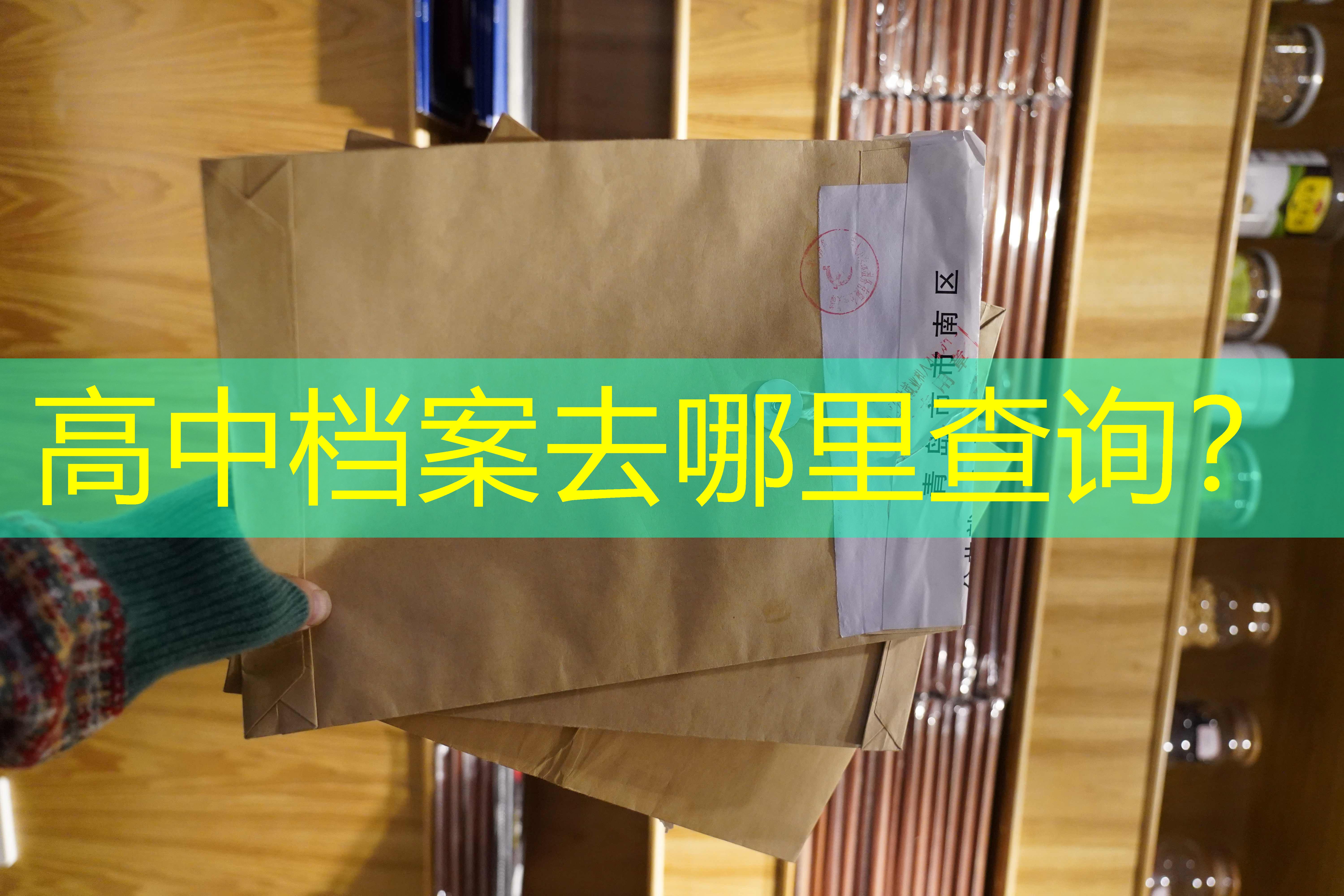 档案查询