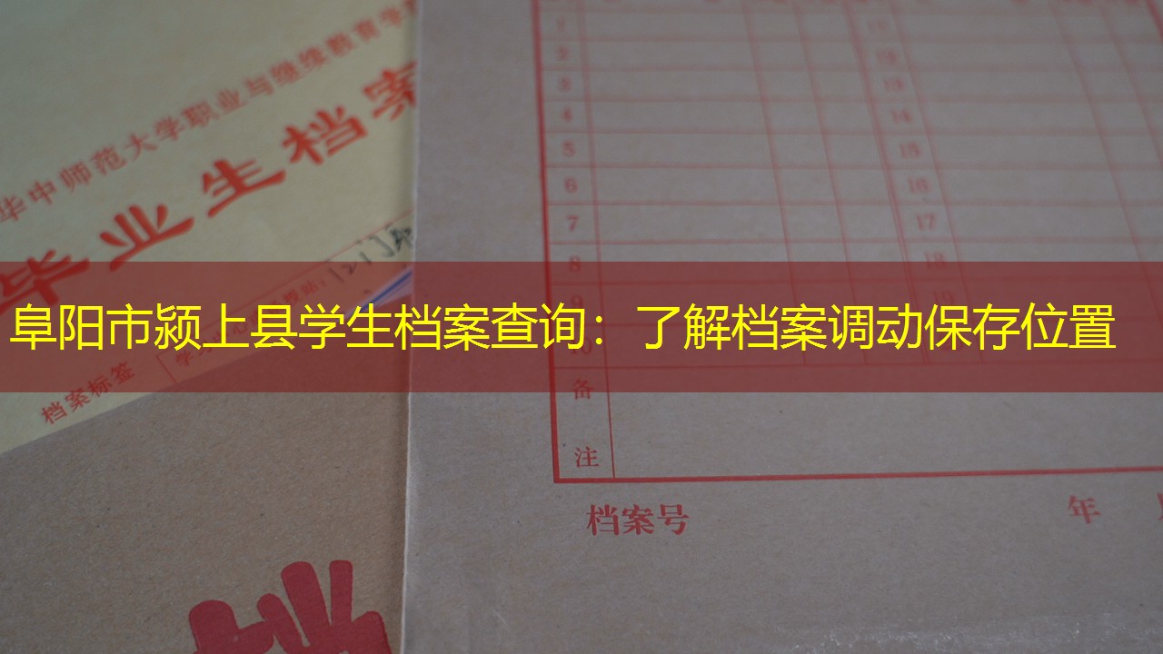 档案查询
