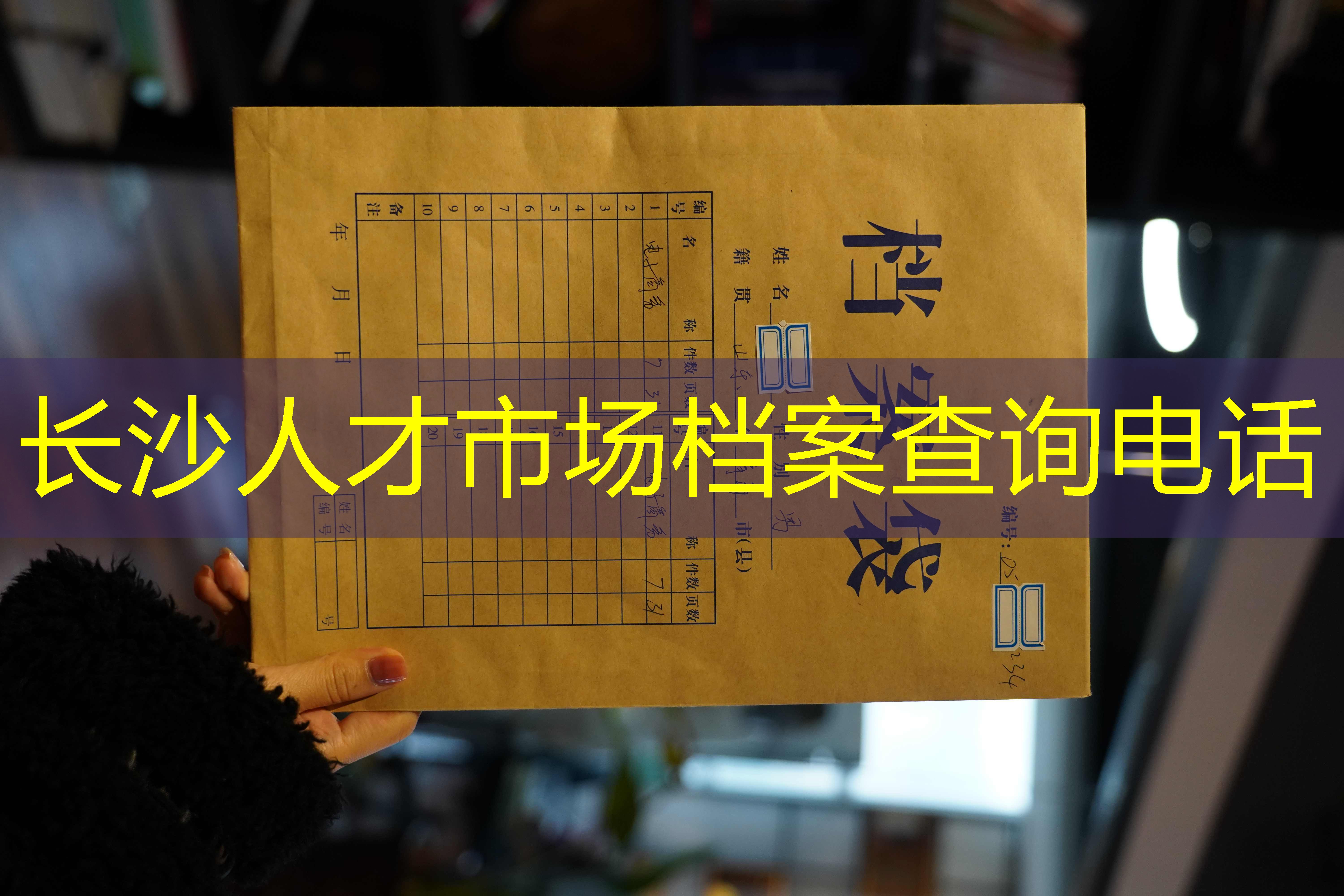 档案查询