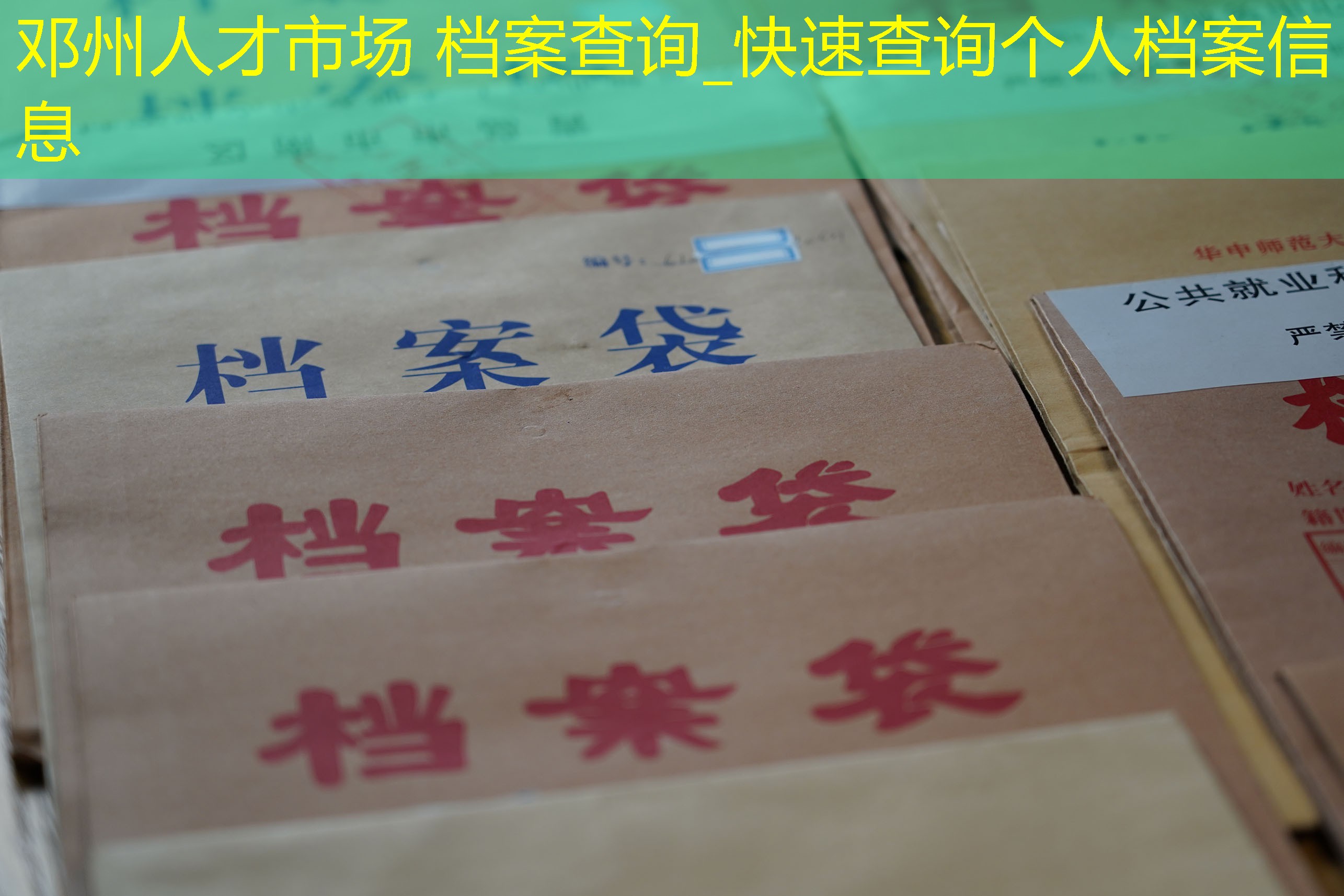 档案查询