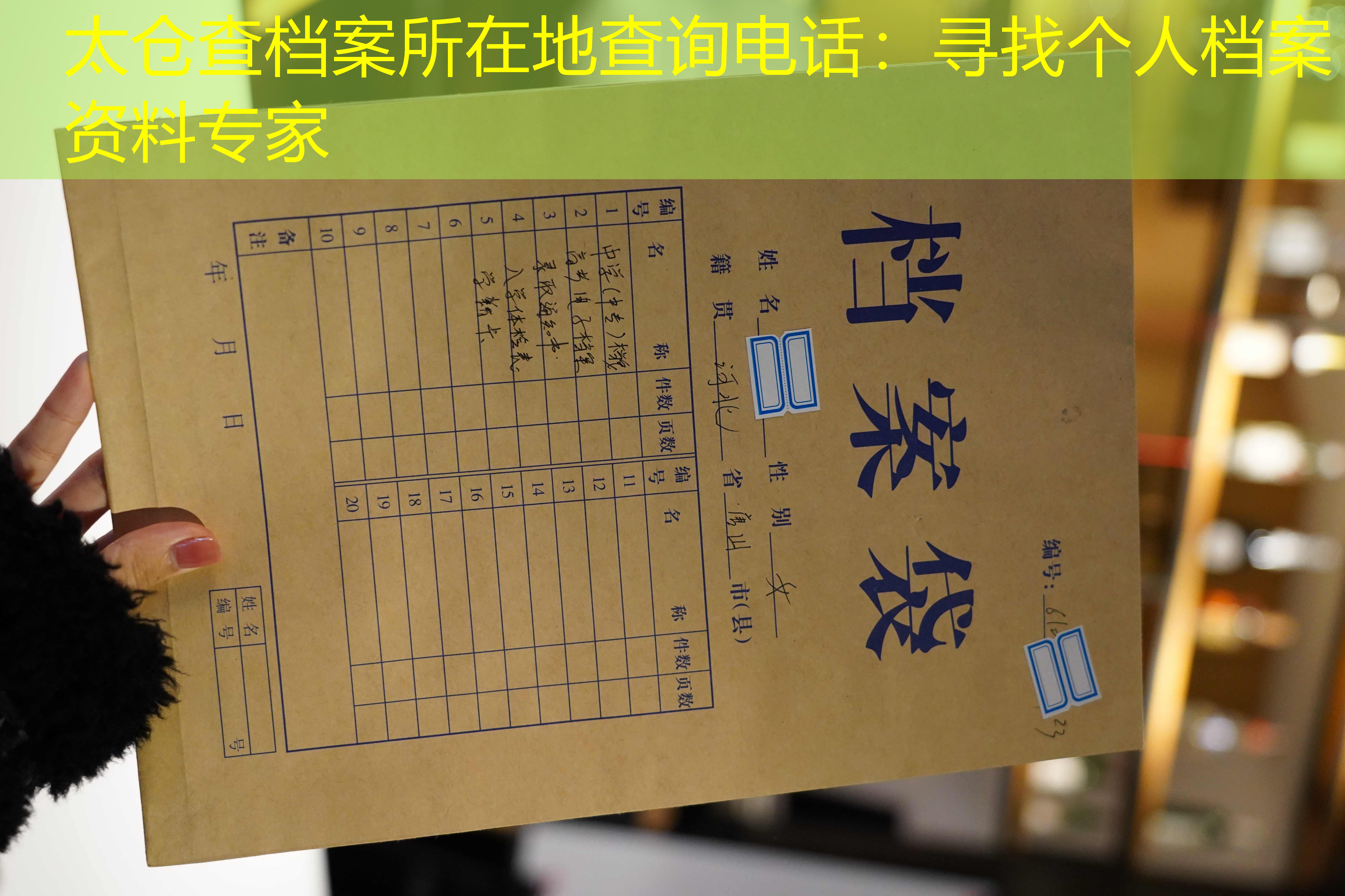 档案查询