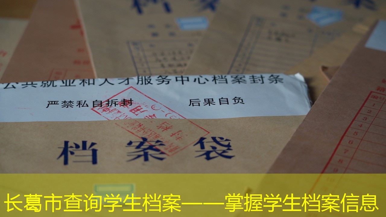 档案查询