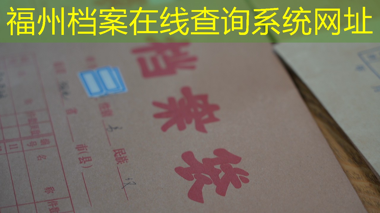 档案查询