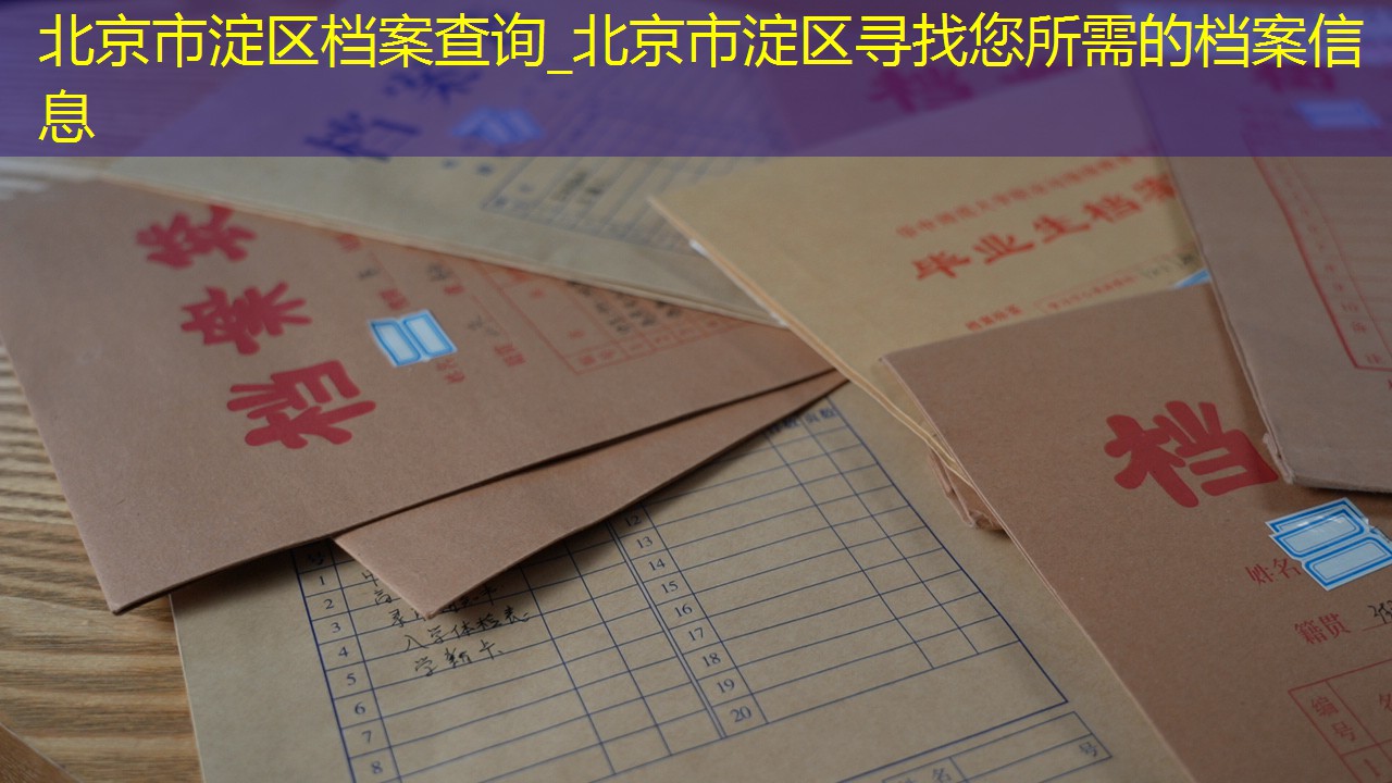 档案查询