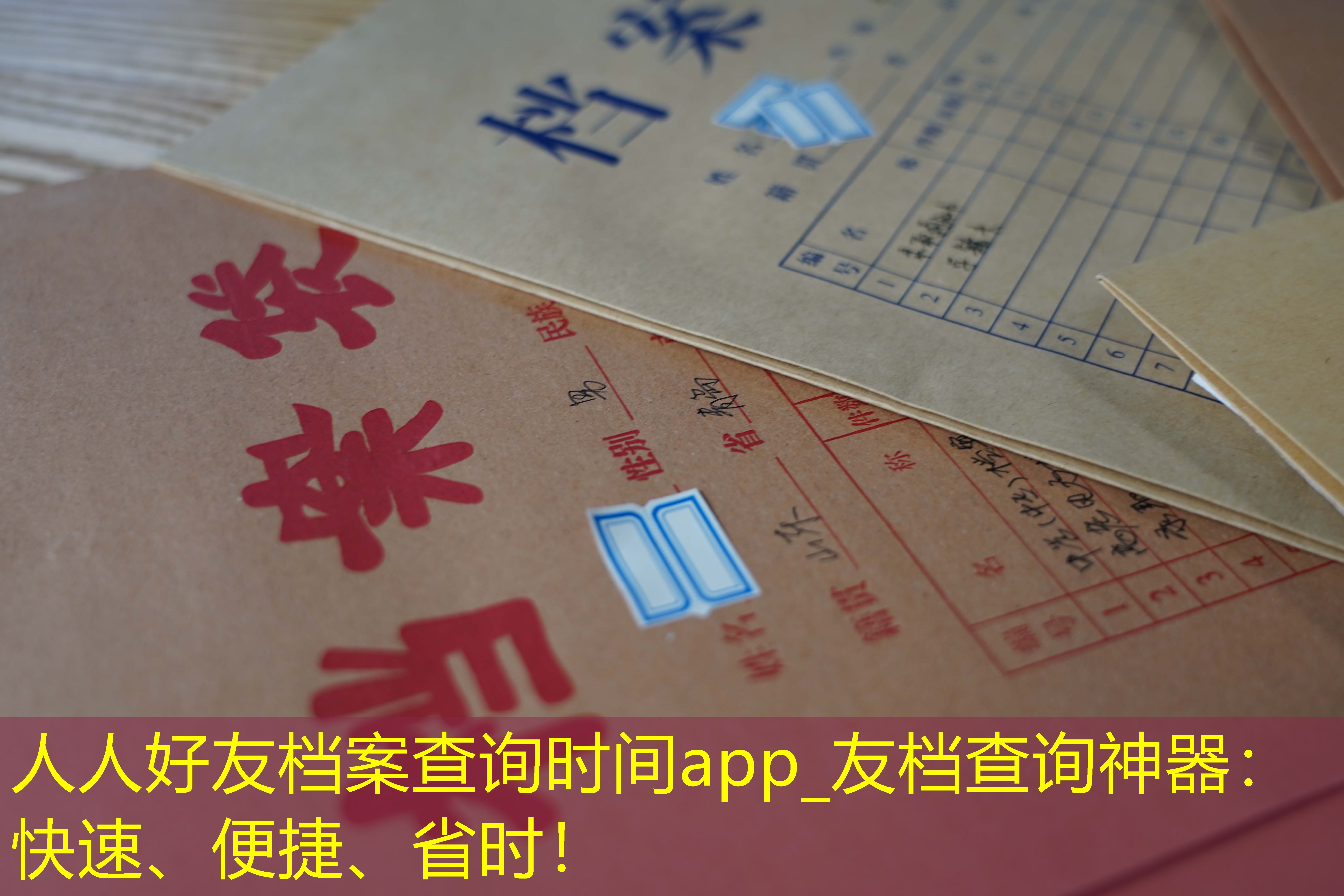 档案查询