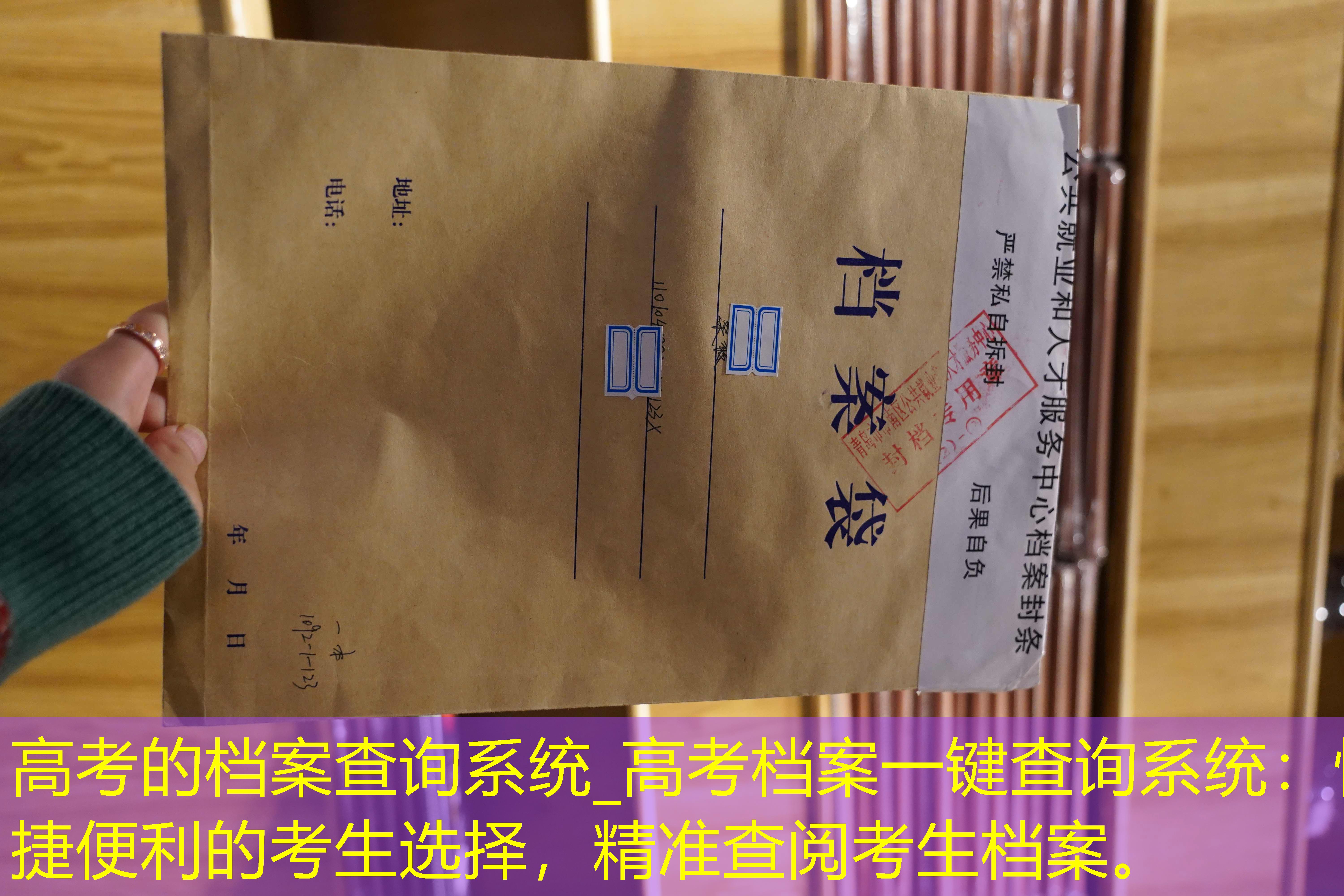 档案查询