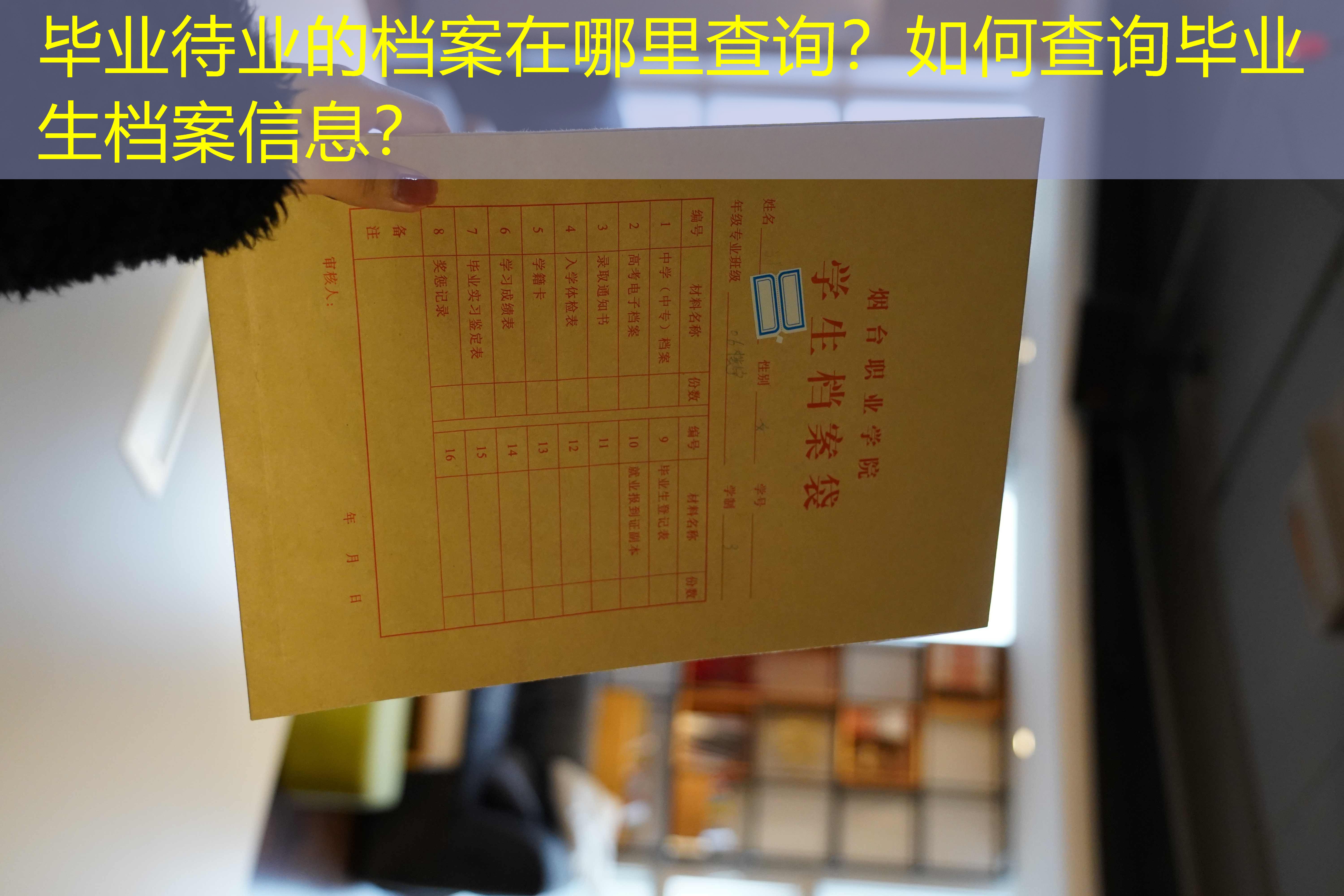 档案查询