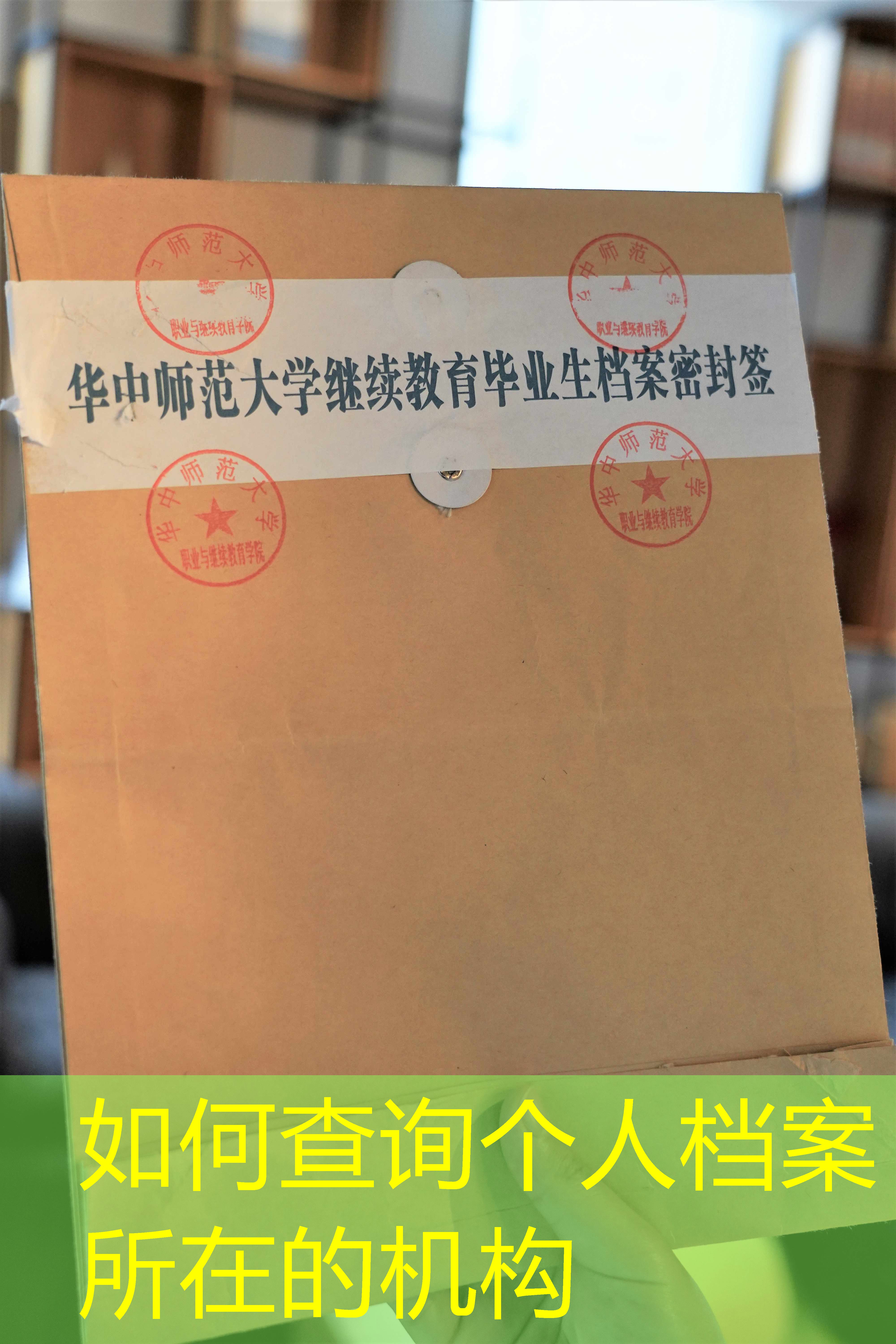 档案查询