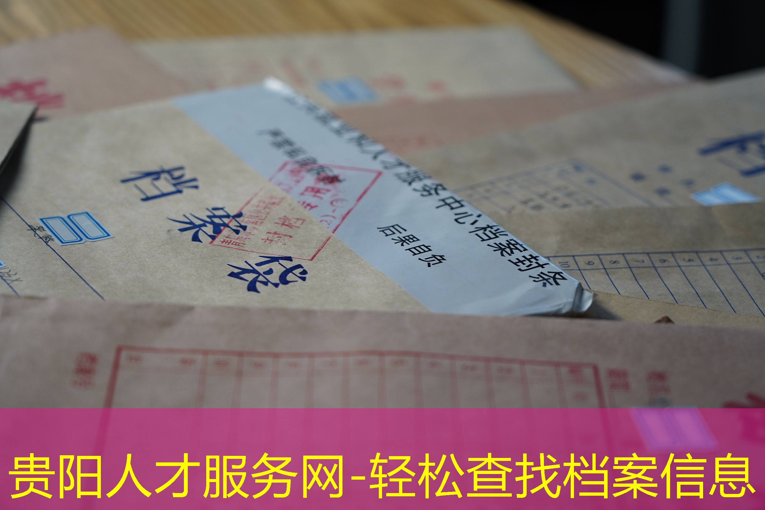 档案查询