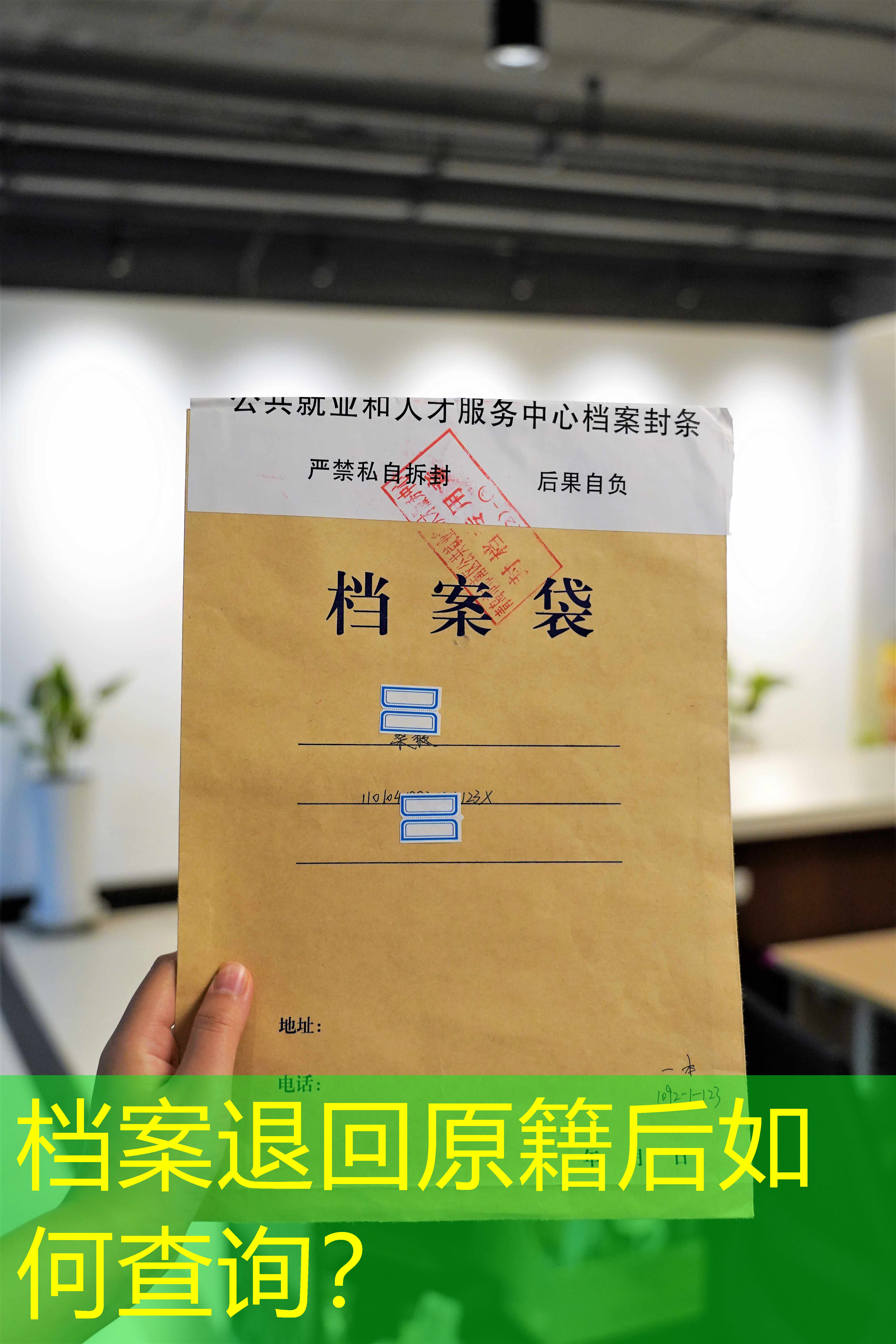 档案查询
