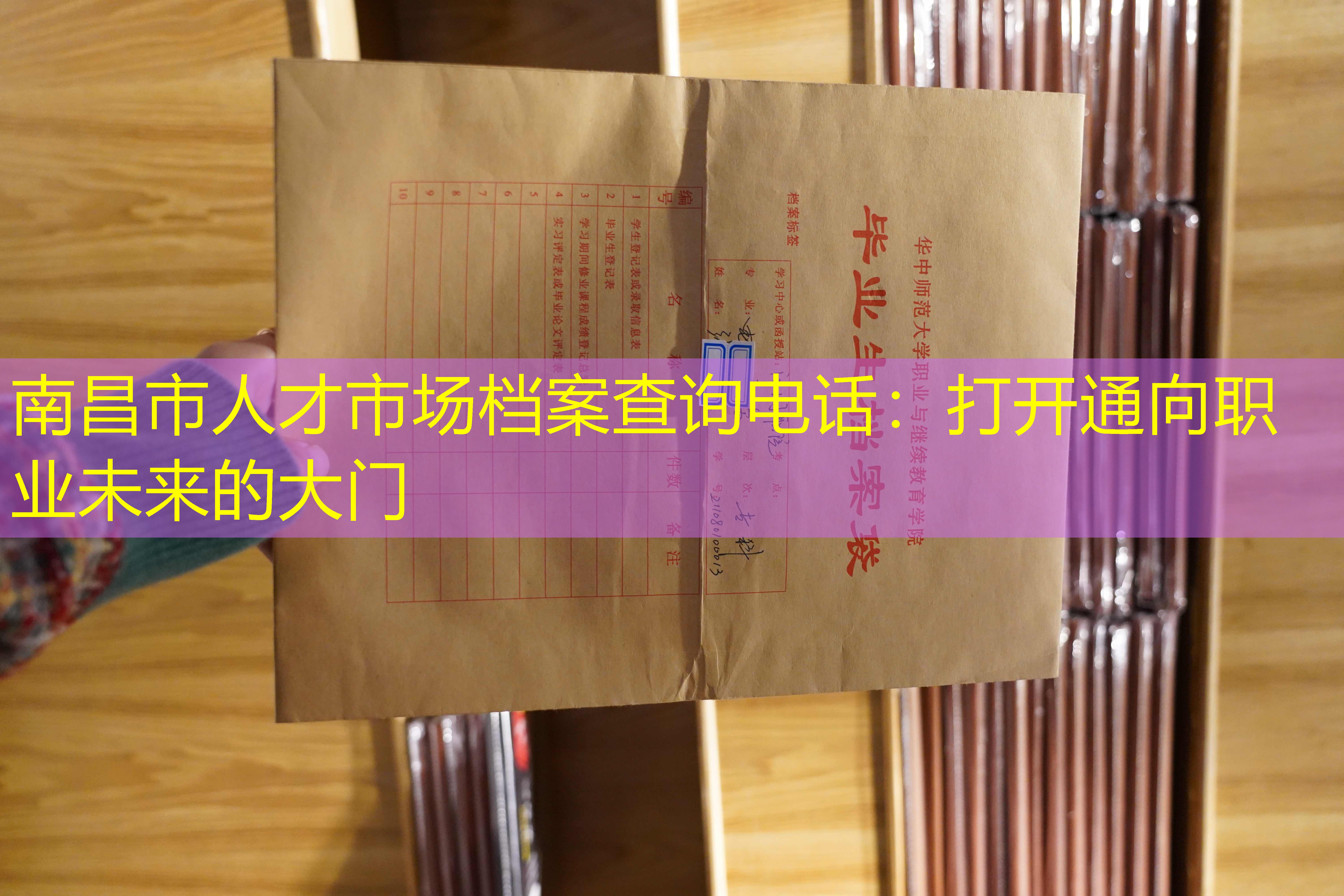 档案查询